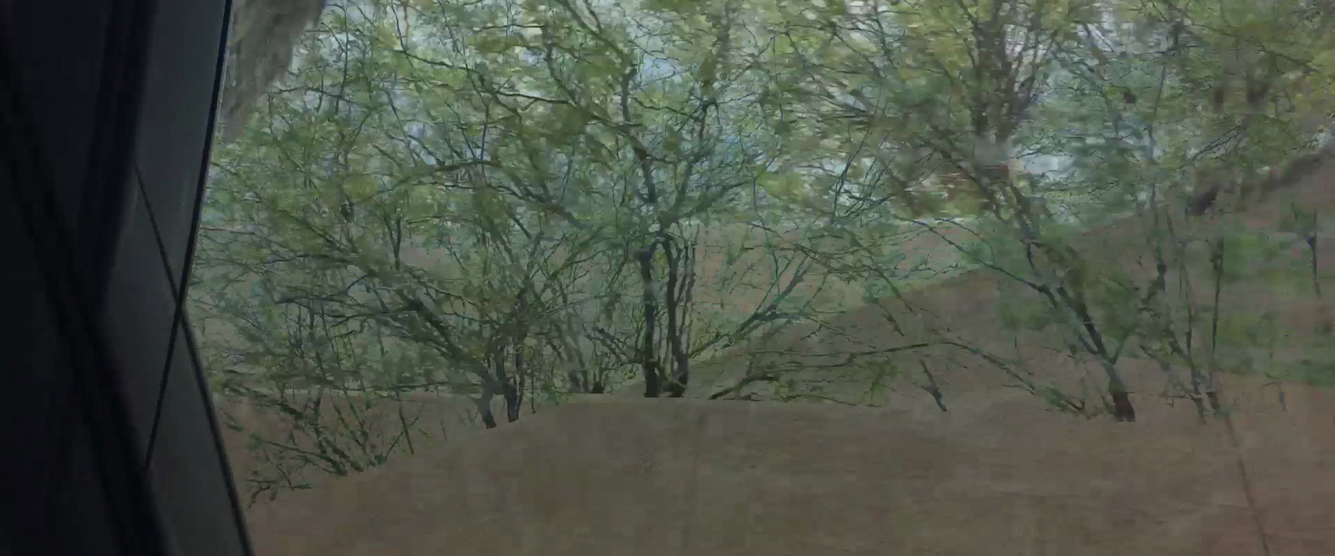 Aridity Enclosure 1 backdrop