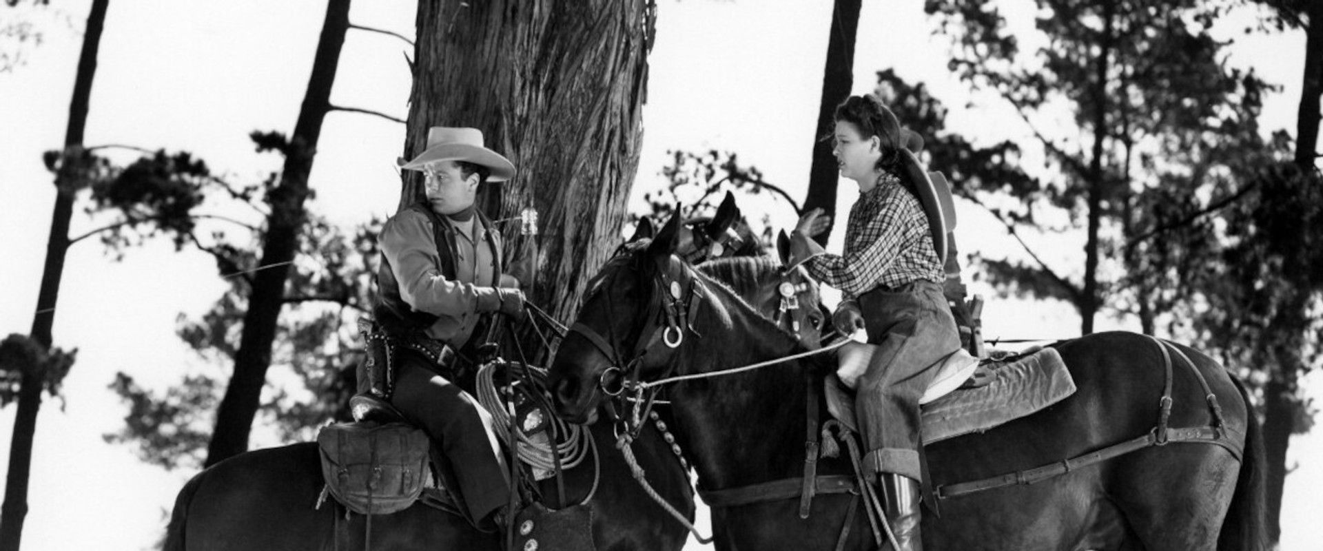 Cyclone on Horseback backdrop