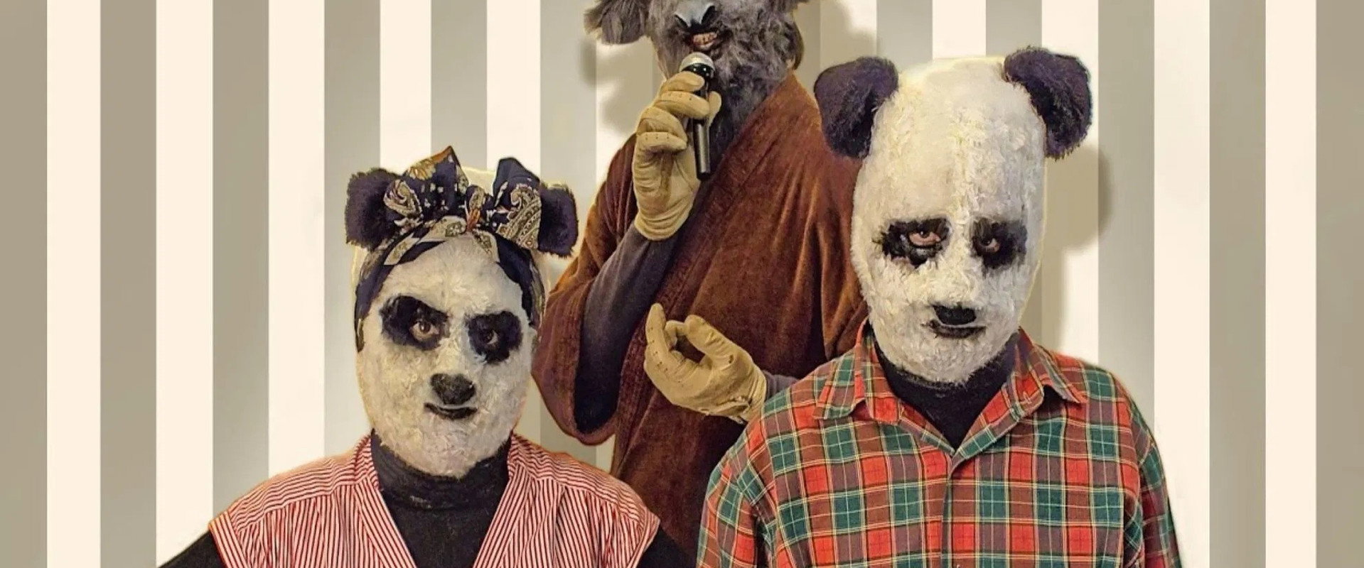 Panda backdrop