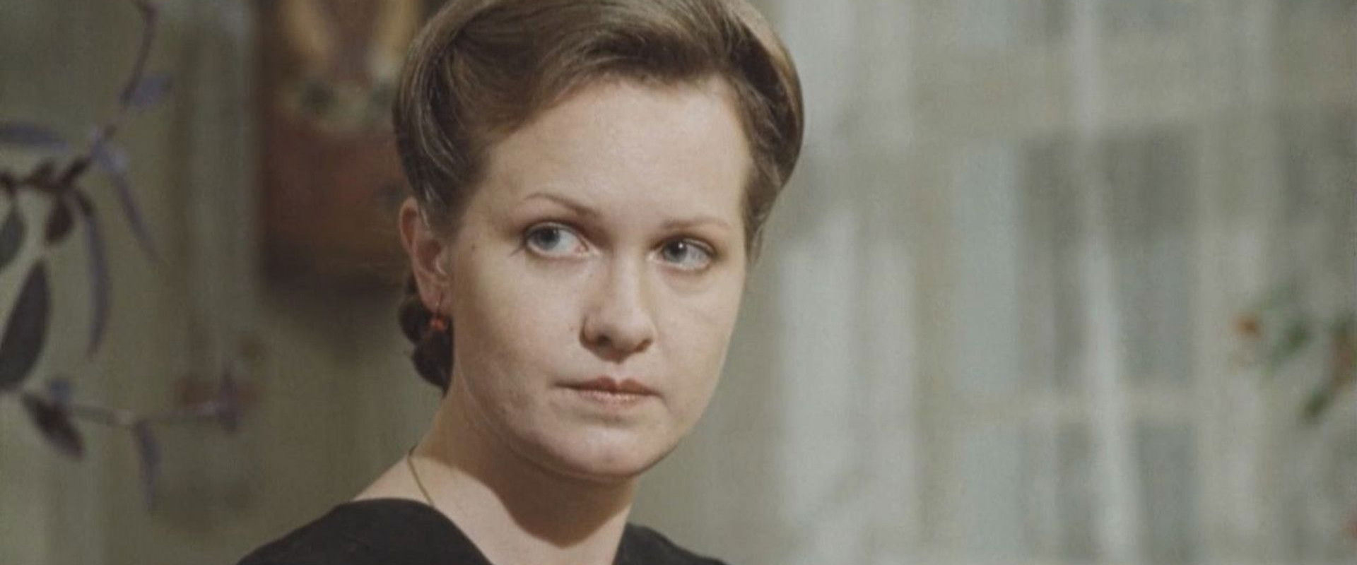 Birds Without Nests backdrop