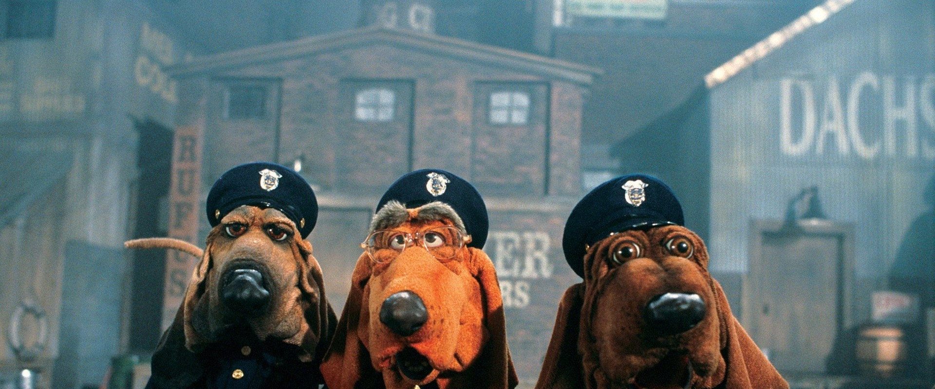 Dog City backdrop
