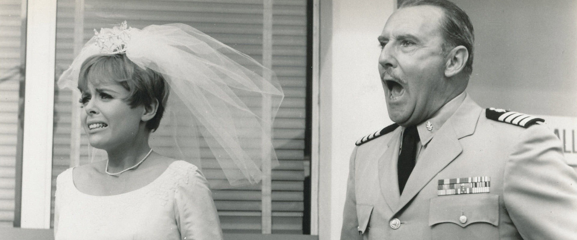 Sergeant Deadhead backdrop