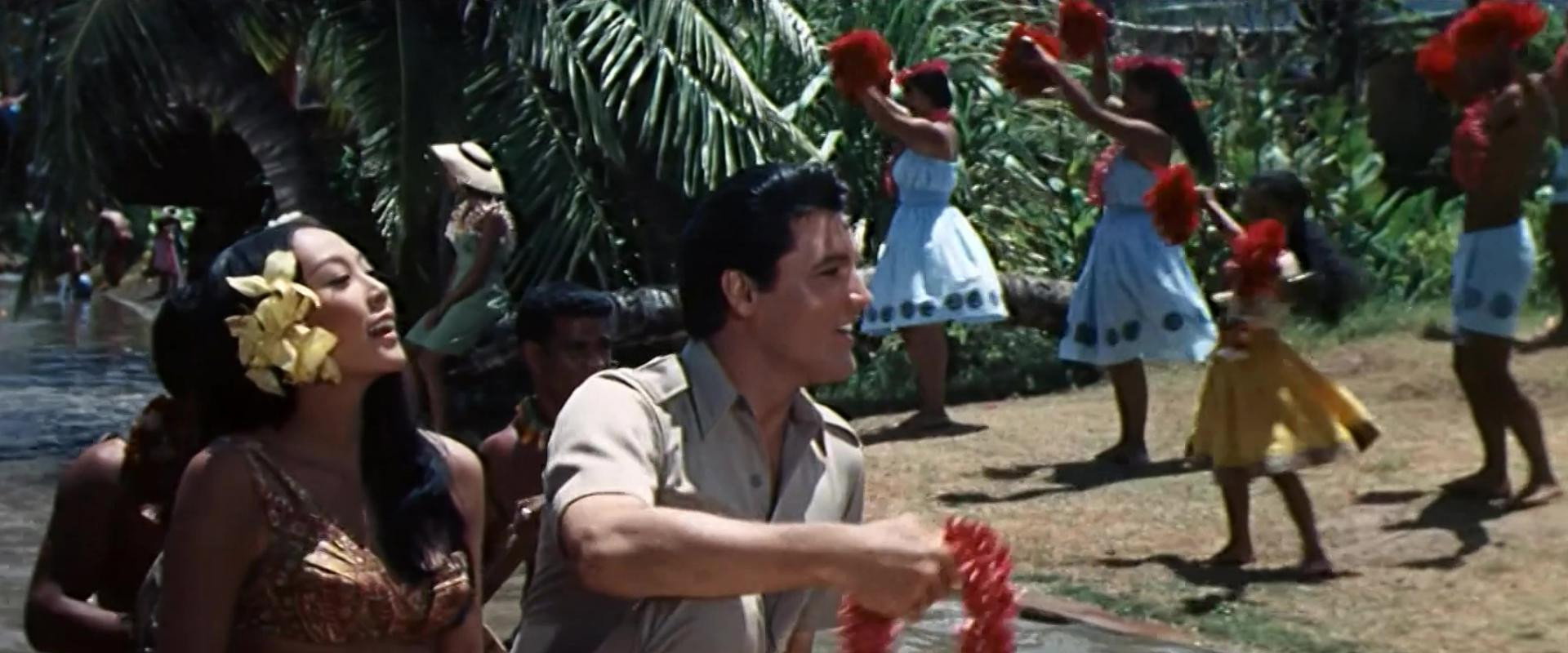 Paradise, Hawaiian Style backdrop