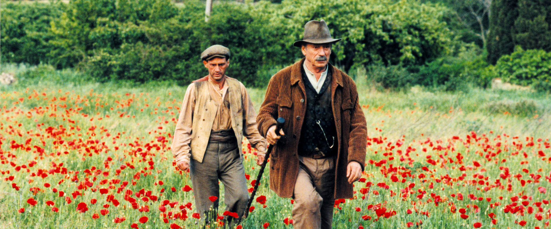 Jean de Florette backdrop