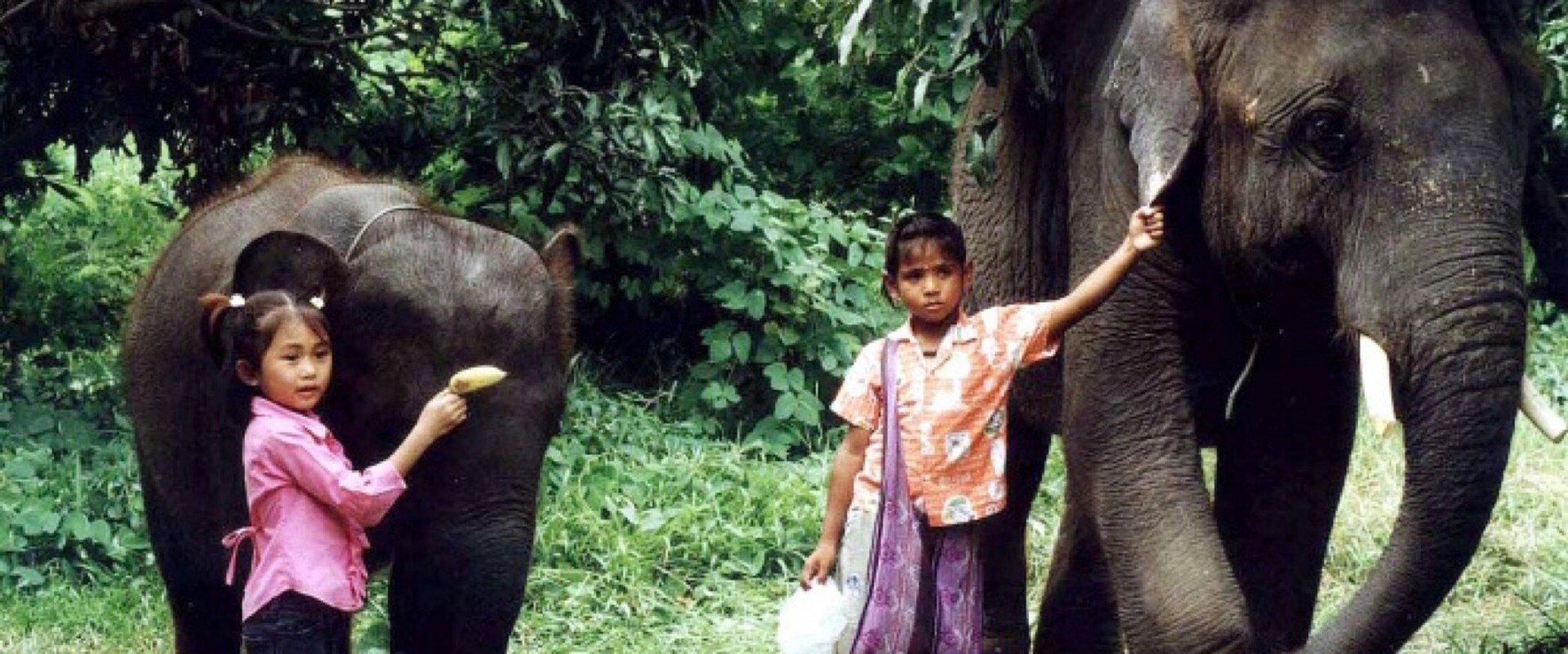 The Elephant Boy backdrop