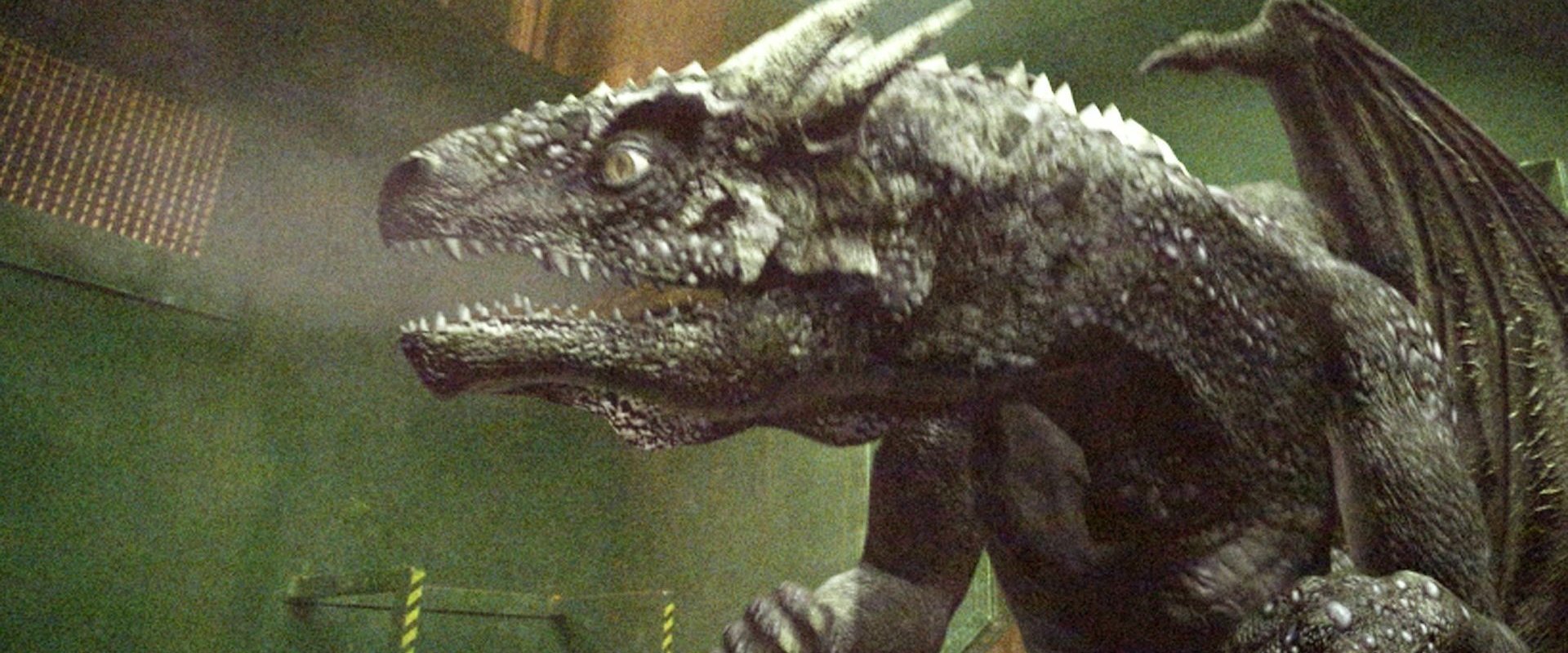 Dragon Fighter