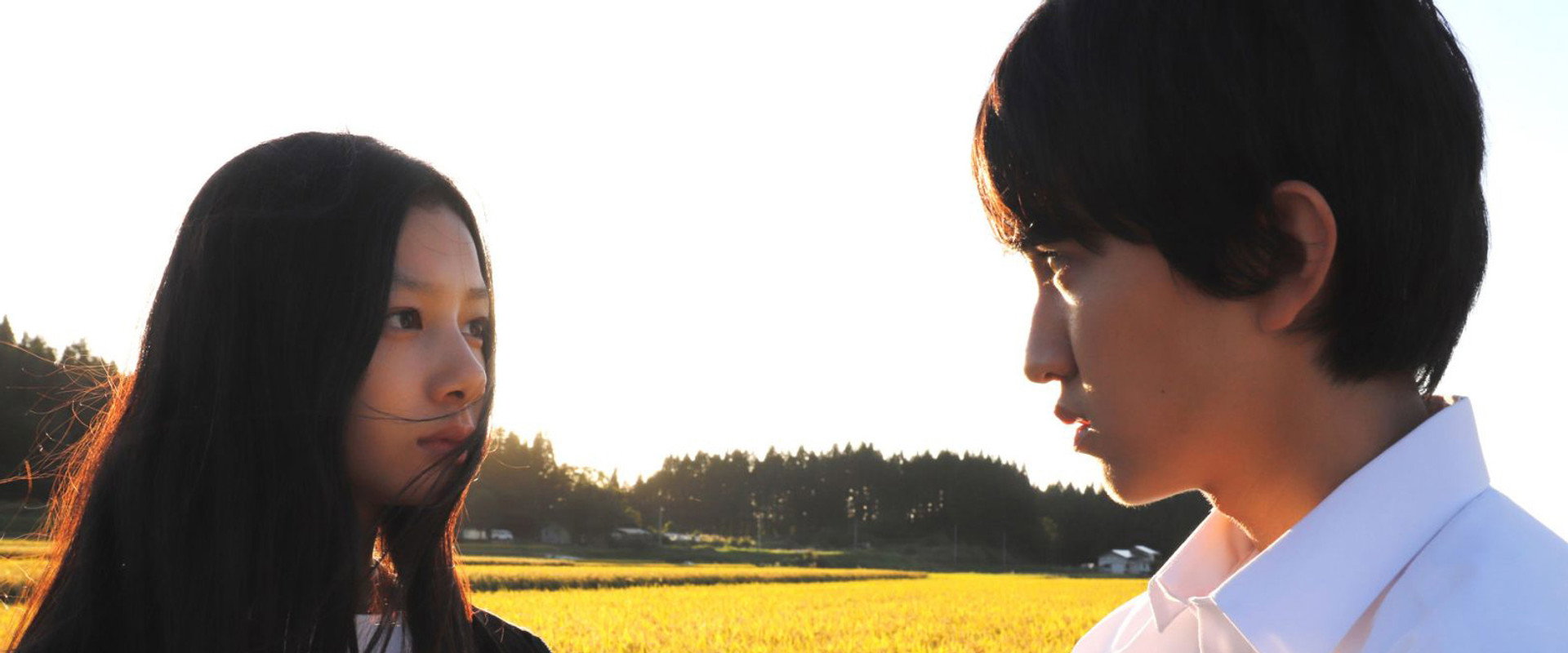 Follow the Light backdrop