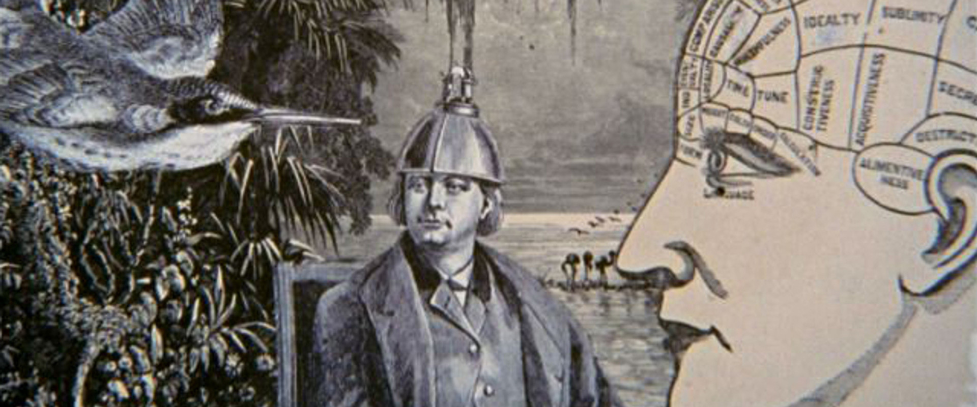 Night Light backdrop