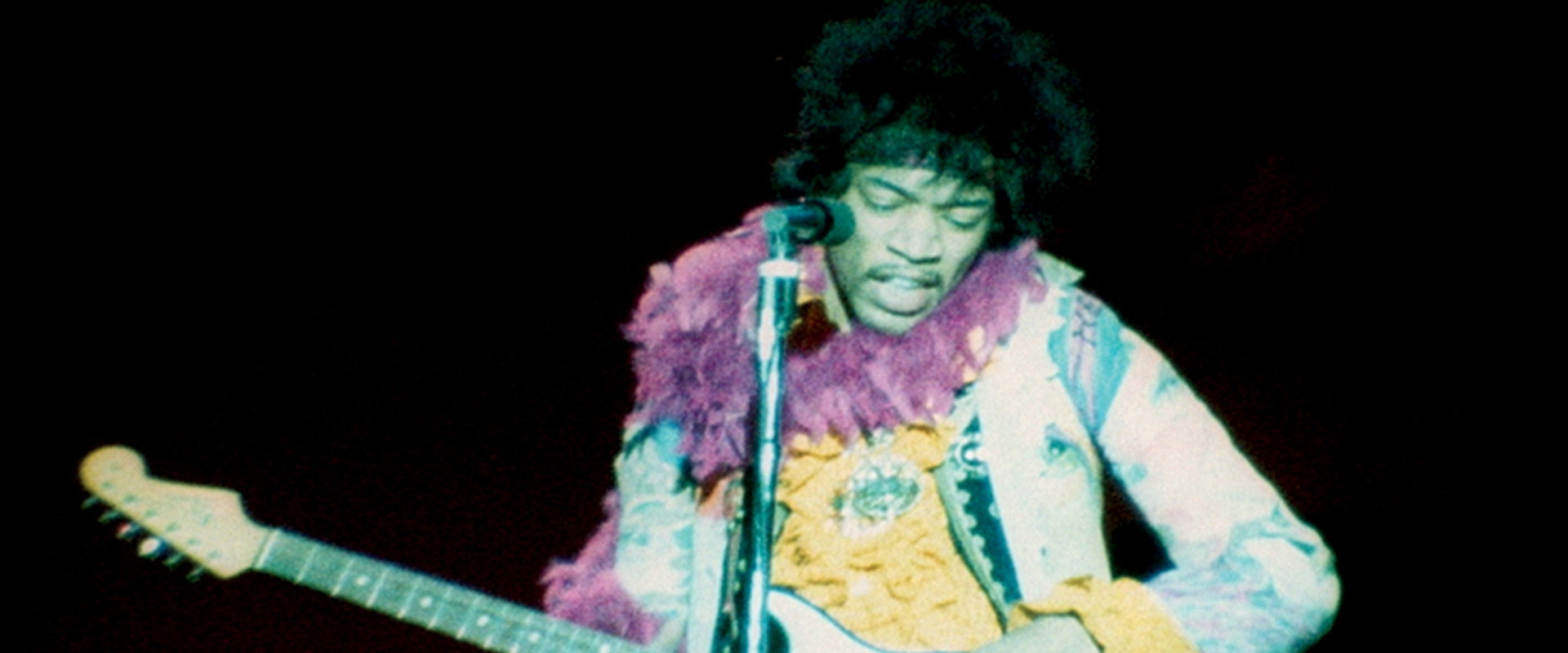Monterey Pop backdrop