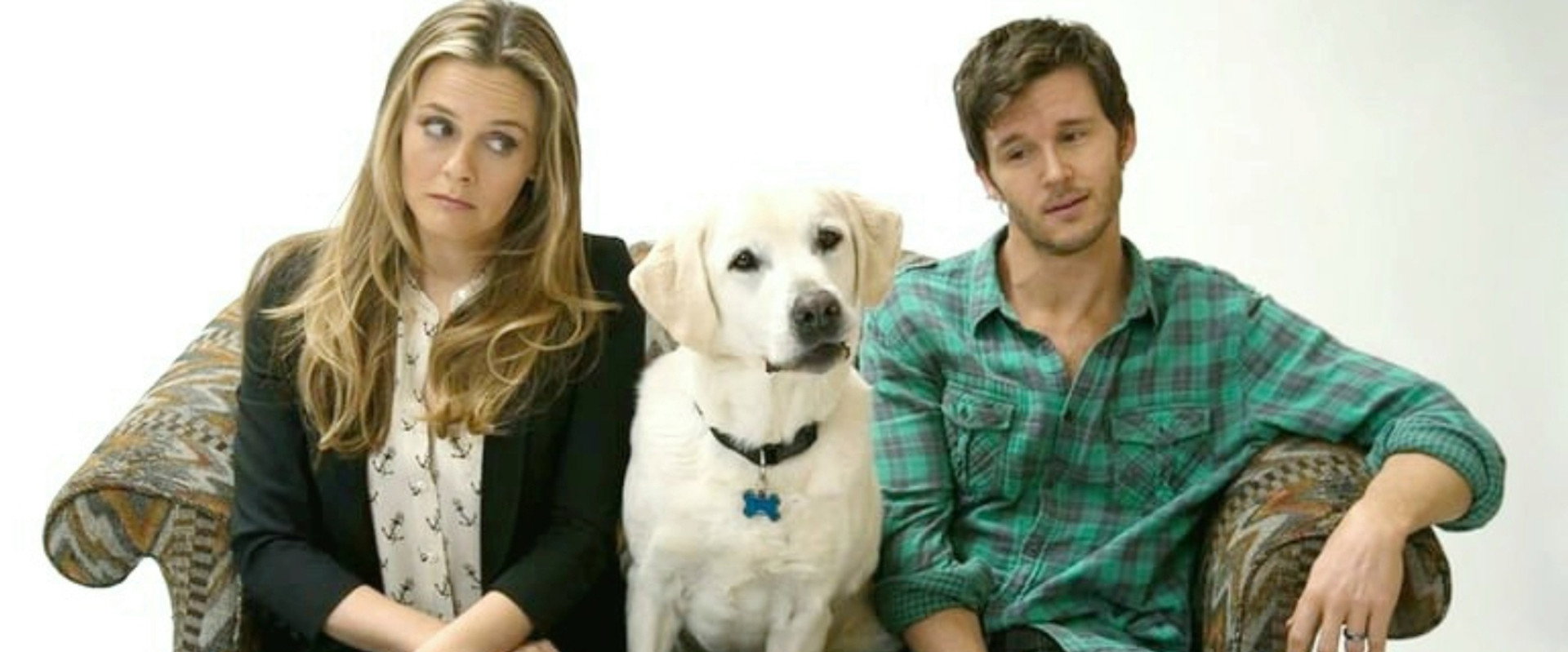 Who Gets the Dog? backdrop