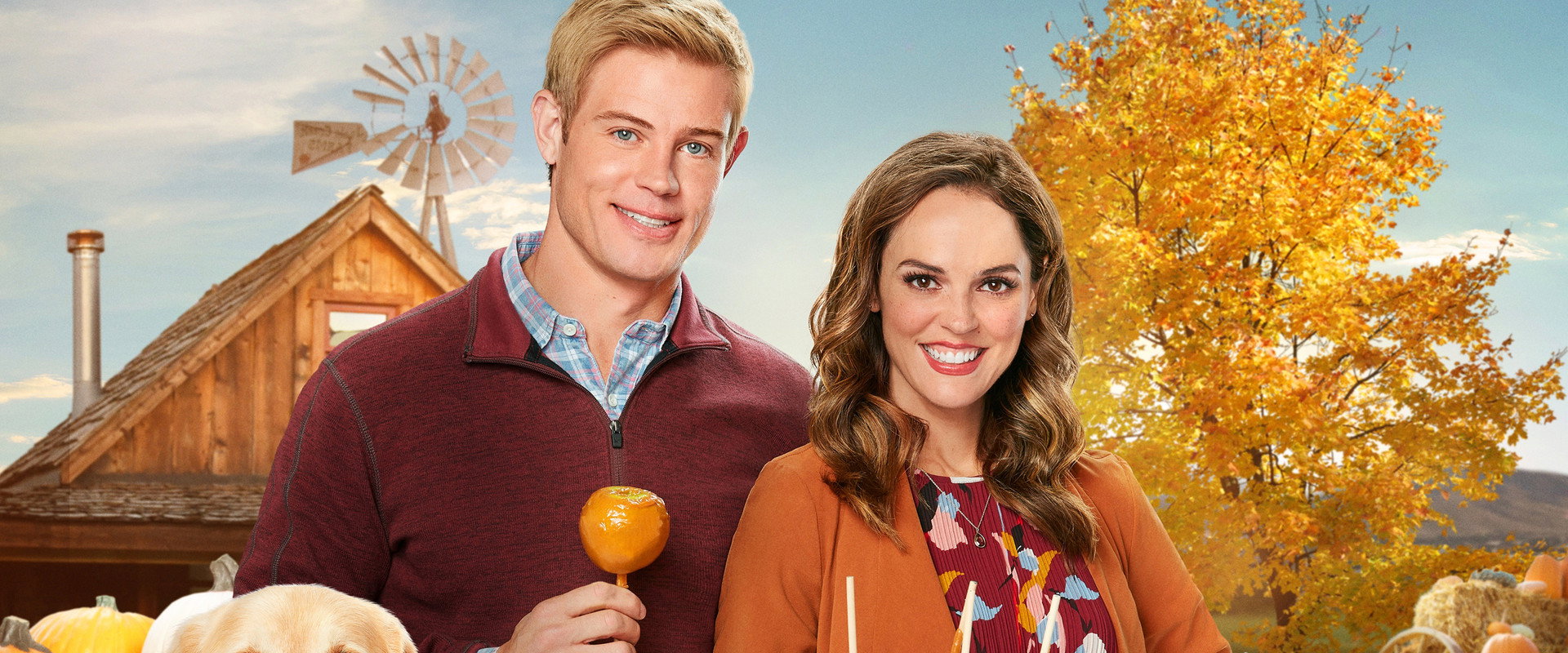 Love, Fall & Order backdrop