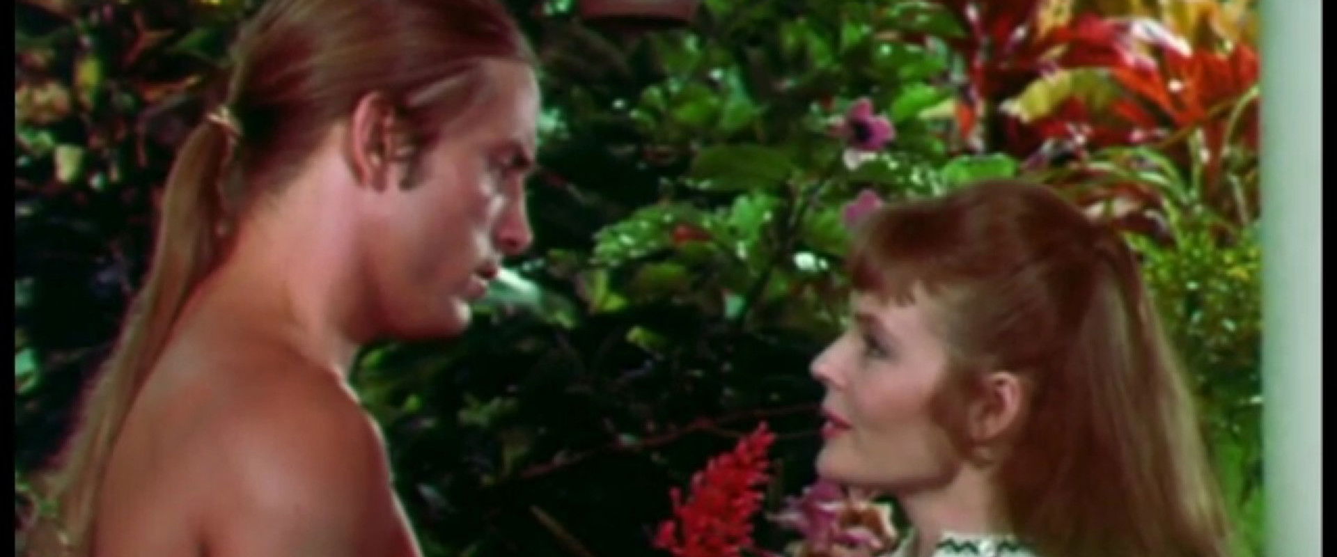 The Gardener backdrop