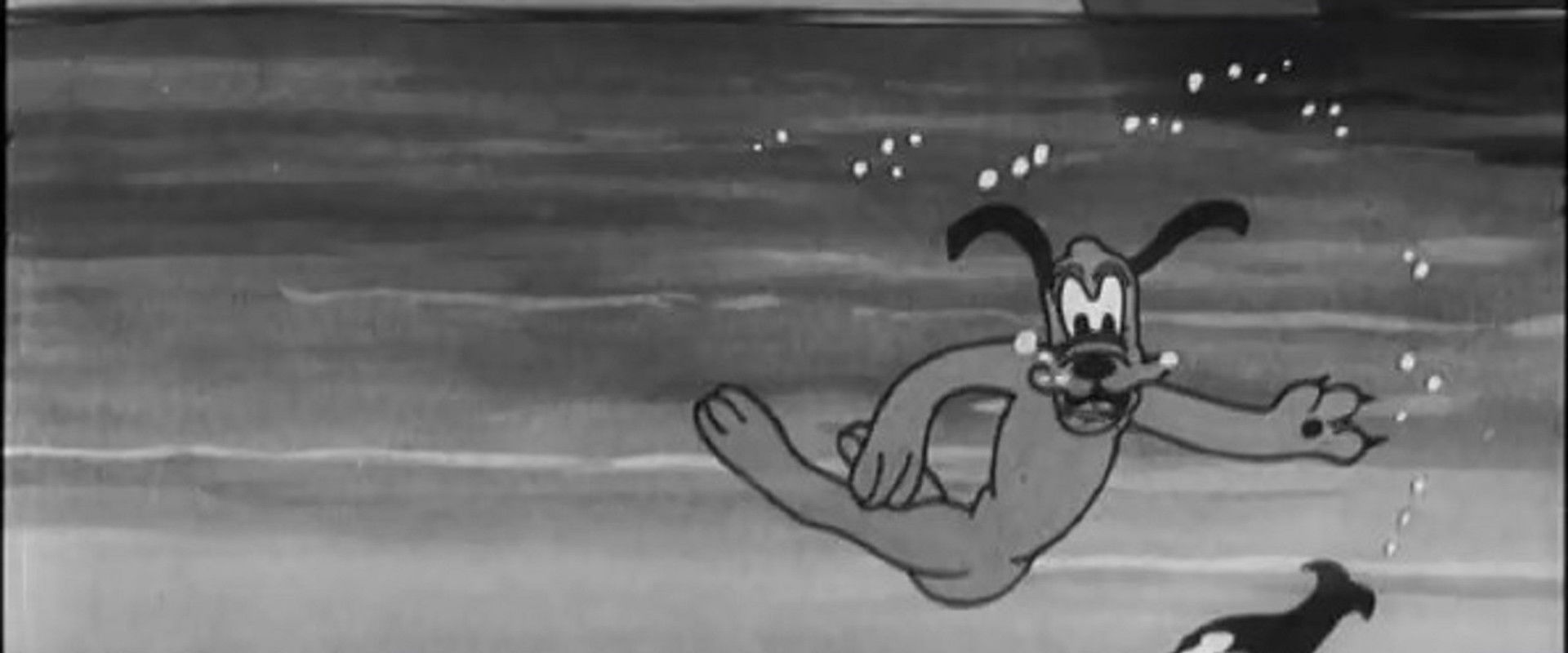 Fishin' Around backdrop