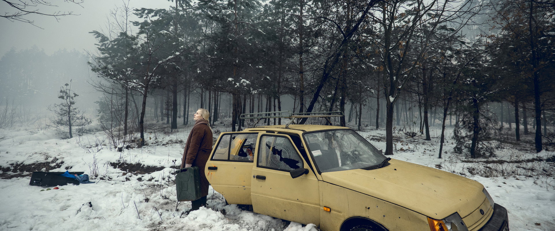 Animals in War backdrop