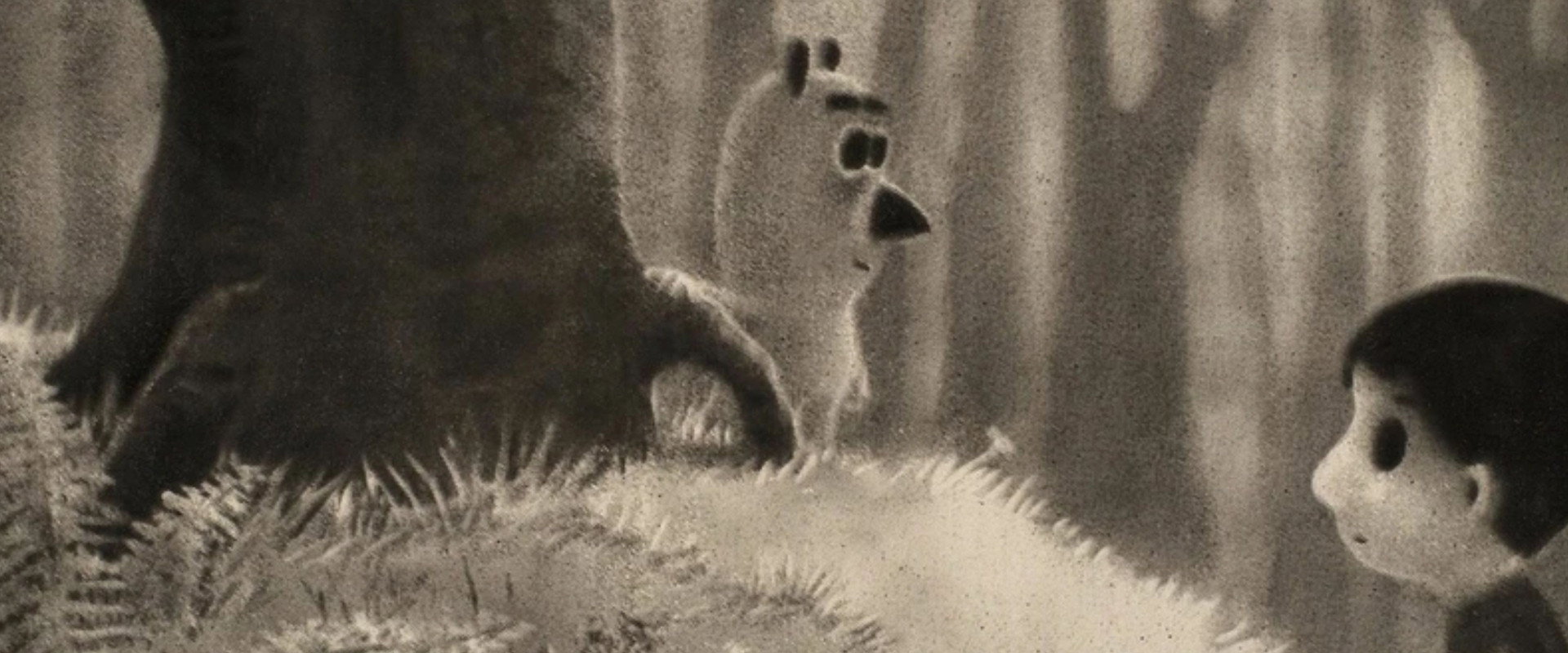 The Night Boots backdrop