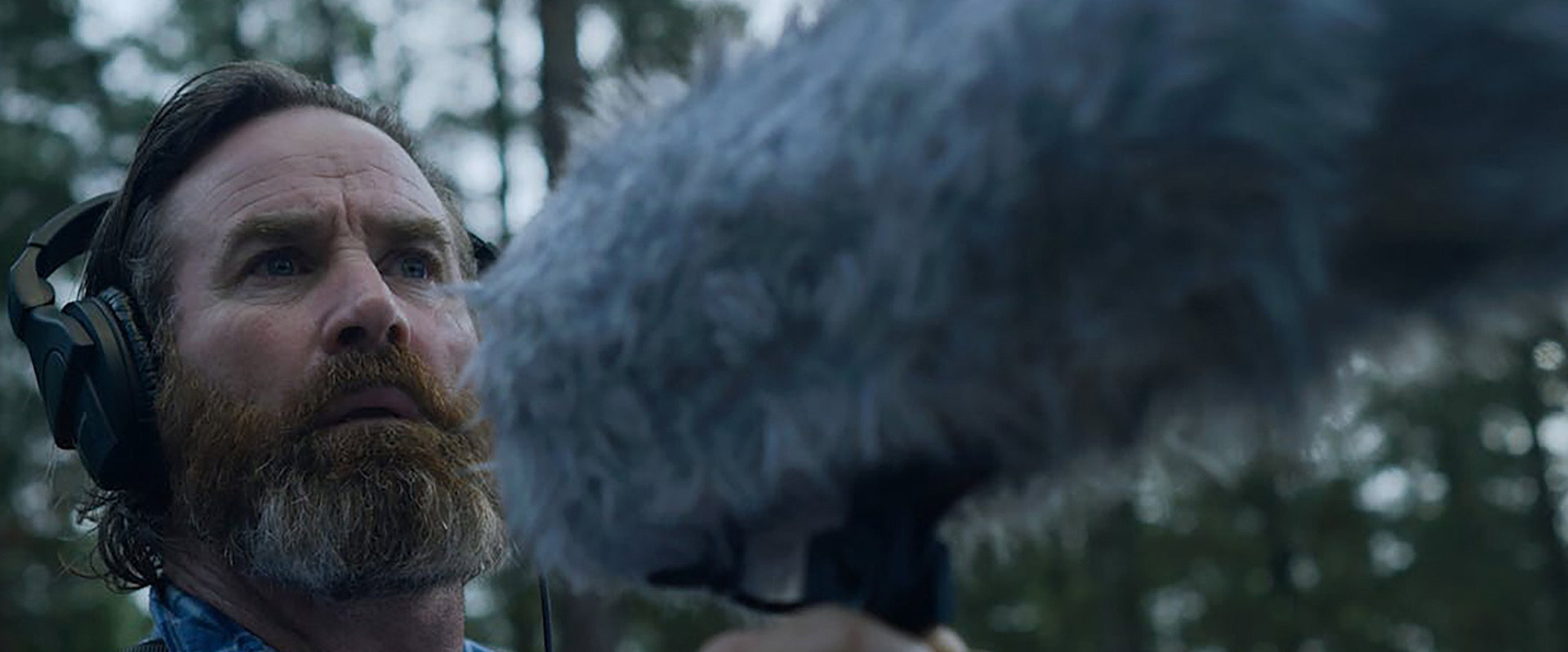 Within the Pines backdrop