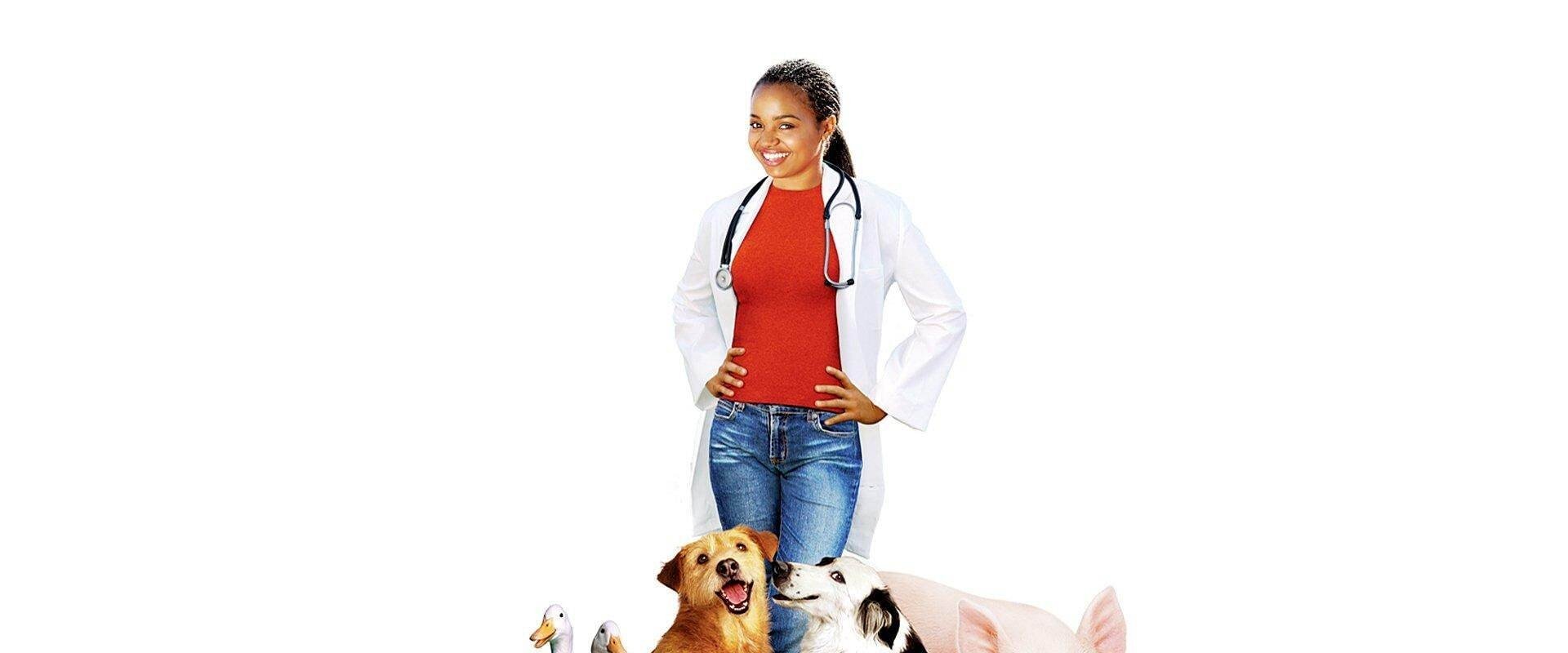 Dr. Dolittle 3 backdrop