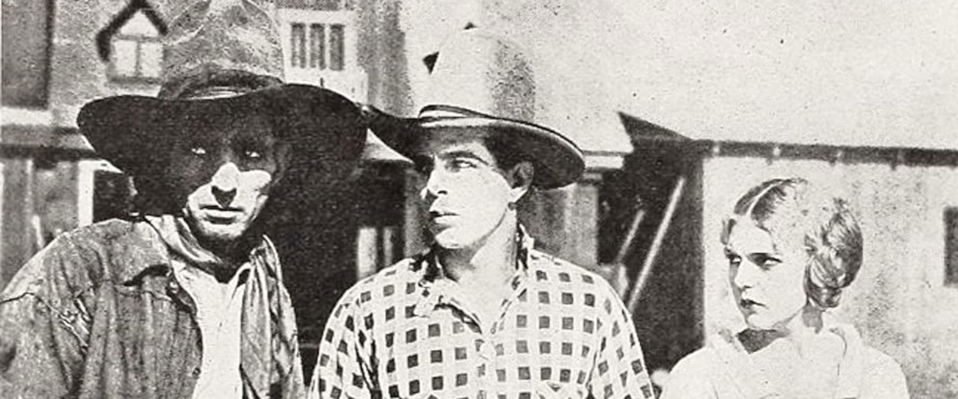 One Law for All backdrop