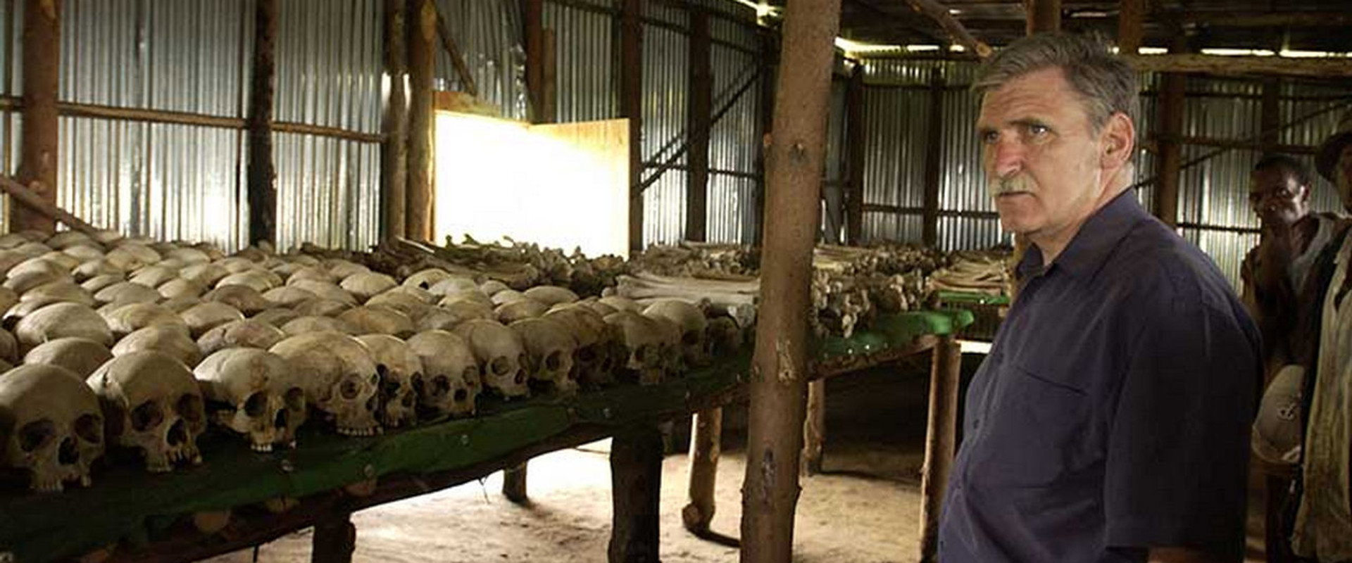 Shake Hands with the Devil: The Journey of Roméo Dallaire backdrop