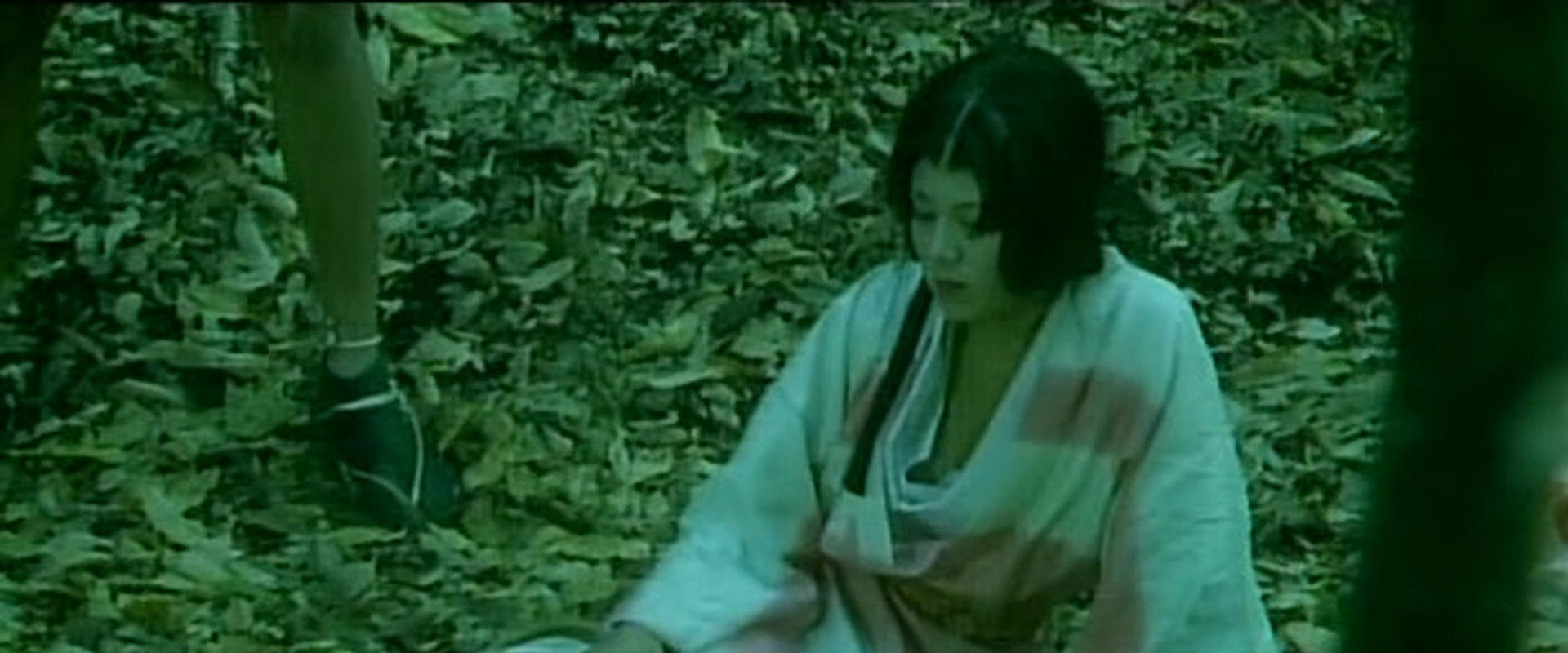 In a Thicket backdrop