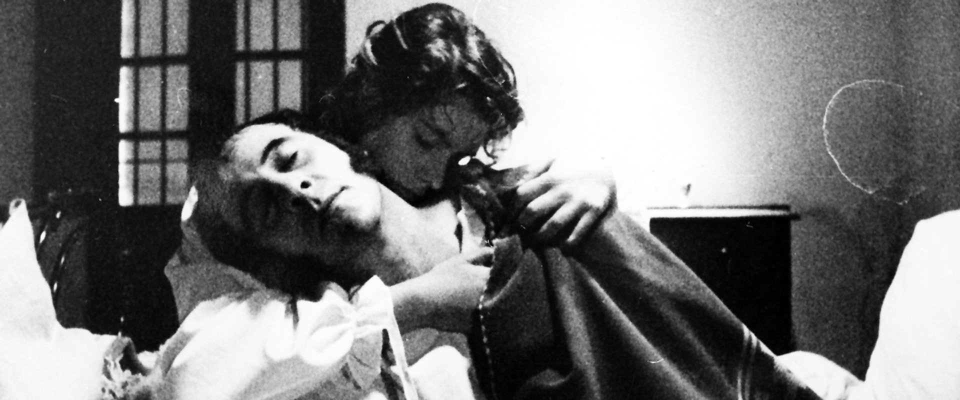 El general y la fiebre backdrop