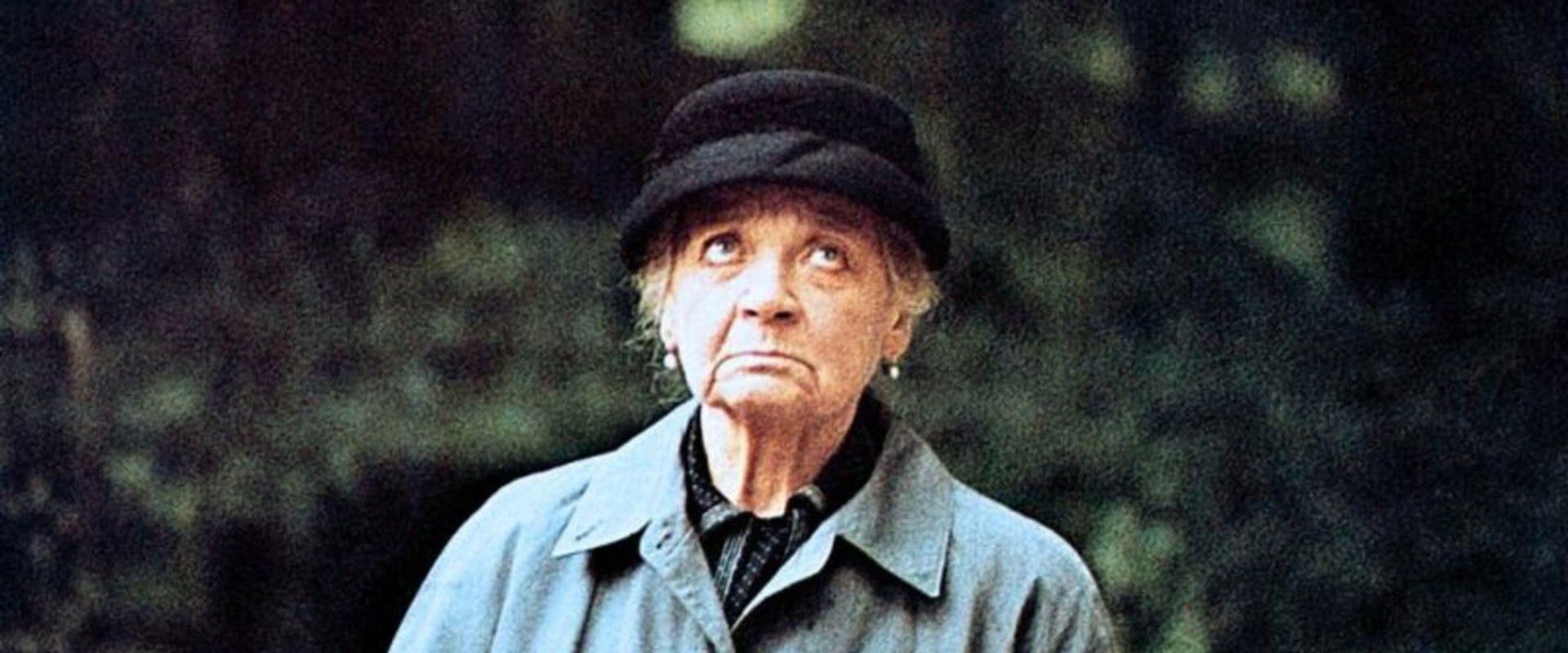 Lina Braake backdrop