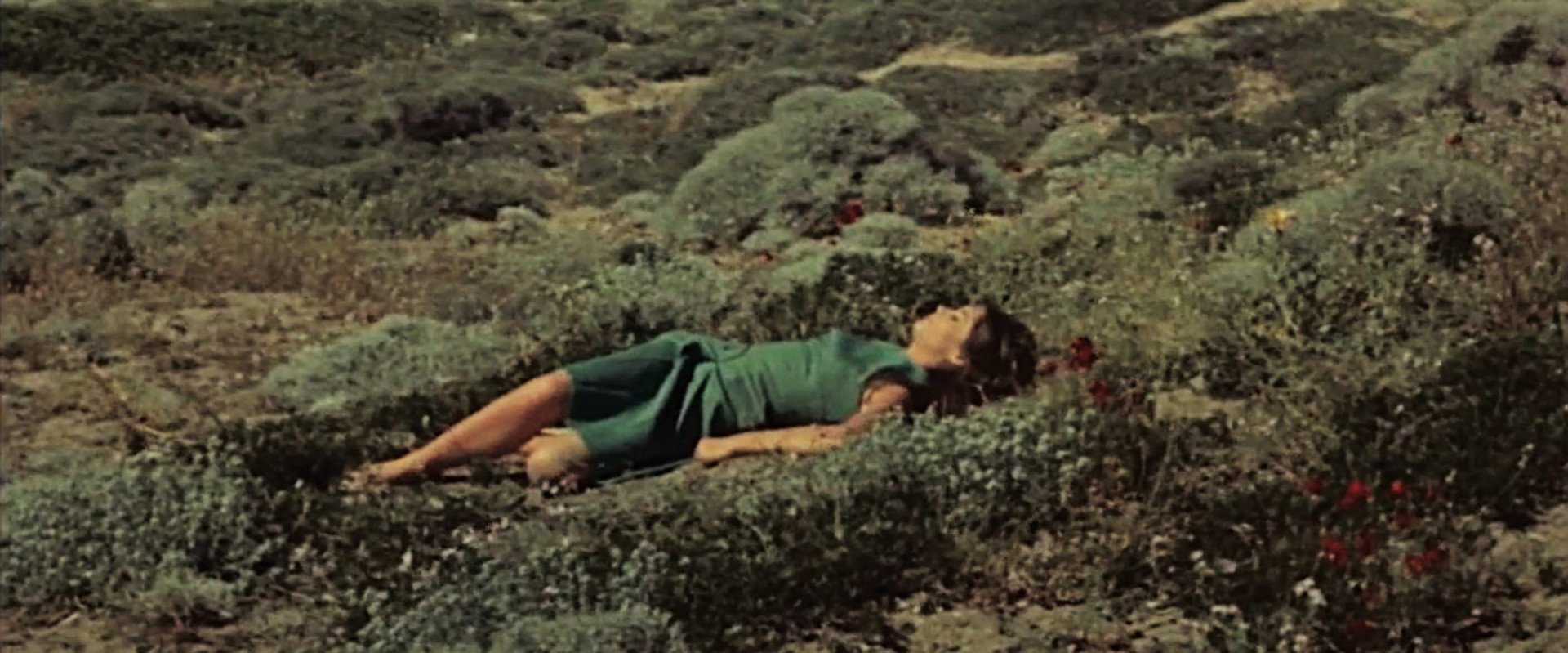 A Bullet Through the Heart backdrop