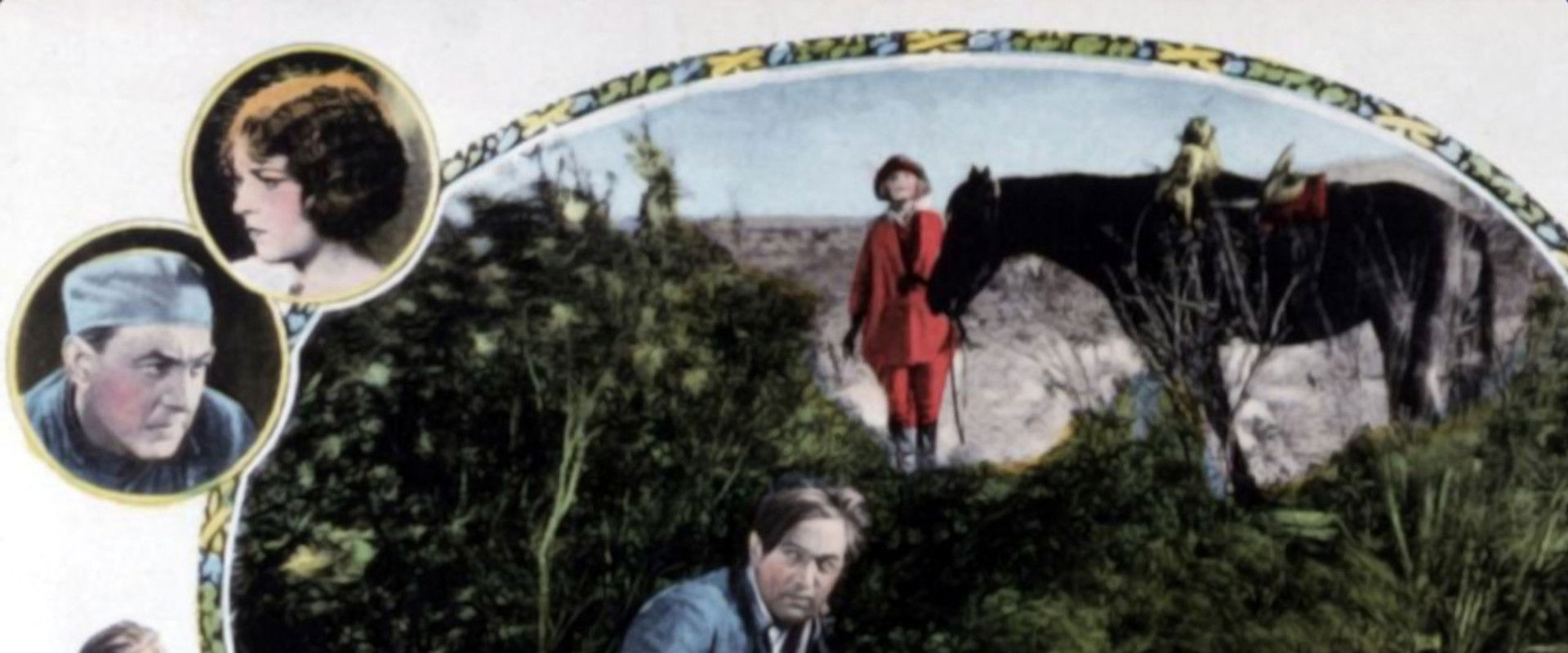 Desert Driven backdrop