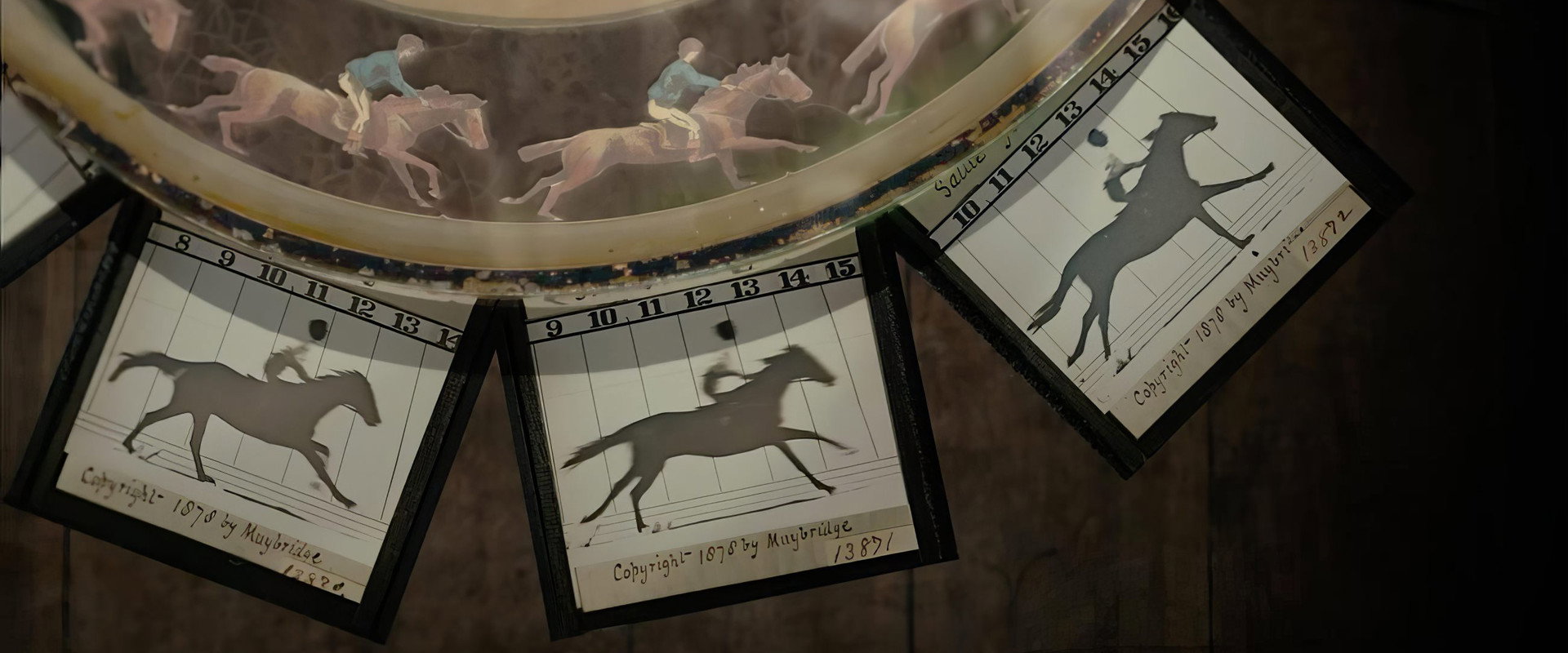 Exposing Muybridge backdrop