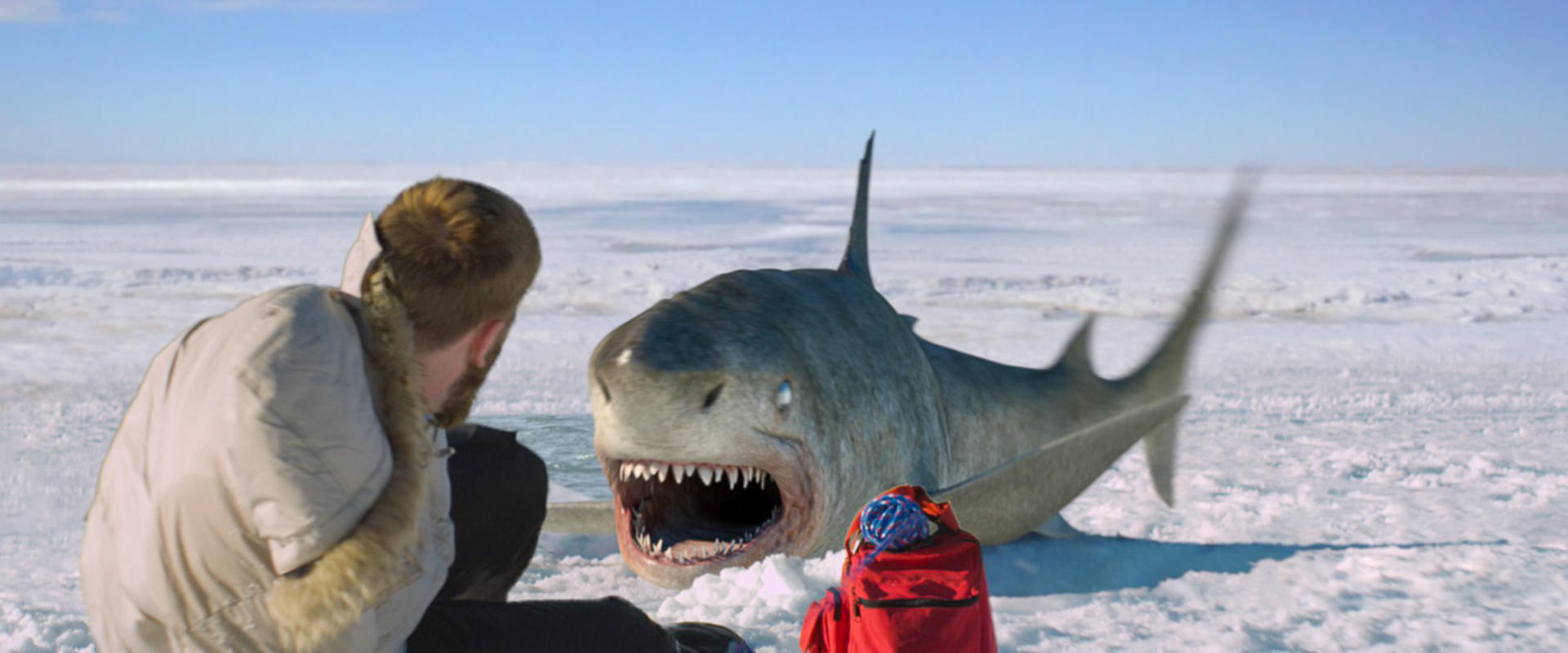 Ice Sharks