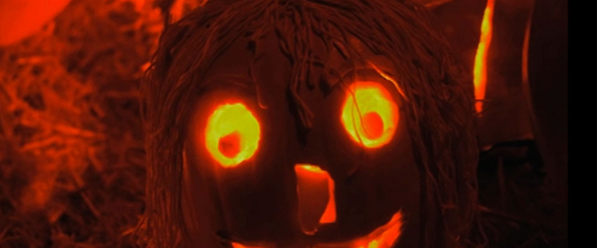 The Haunted History of Halloween backdrop