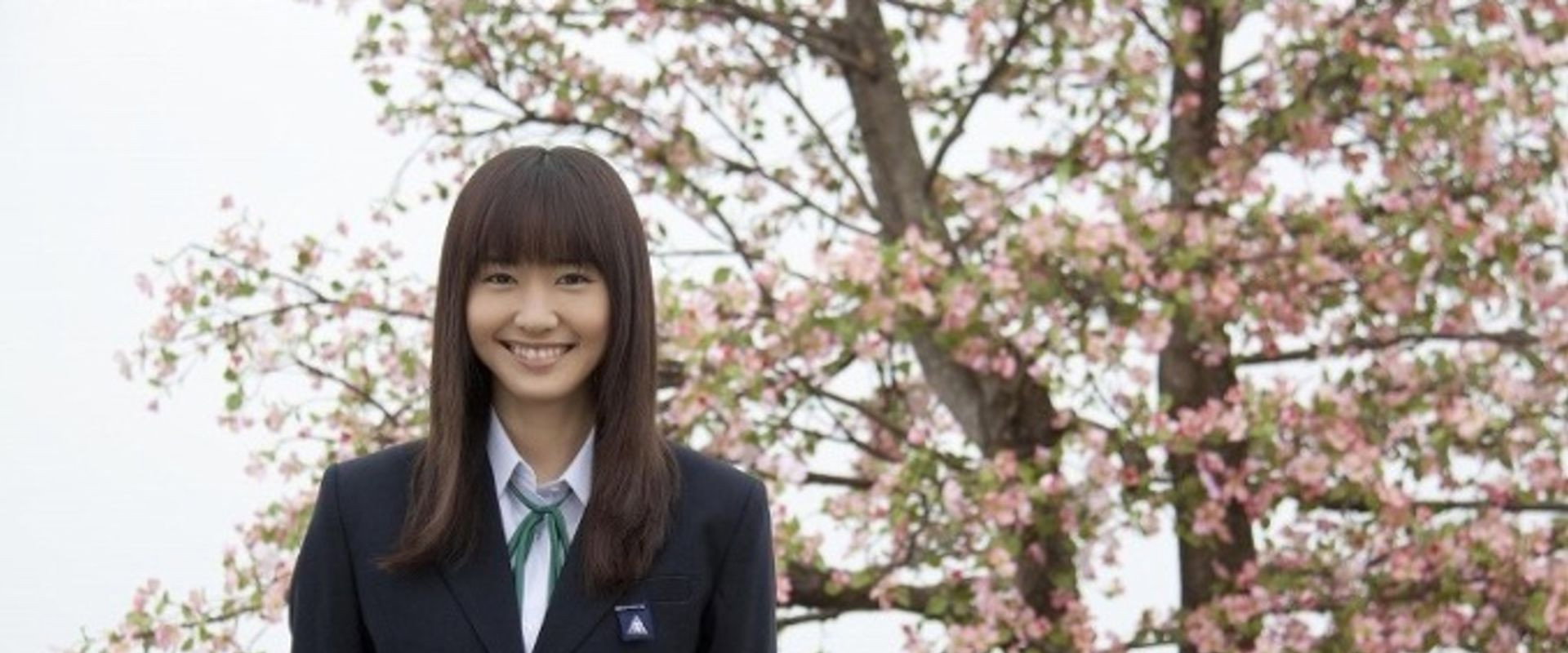 Dogwood Tree backdrop