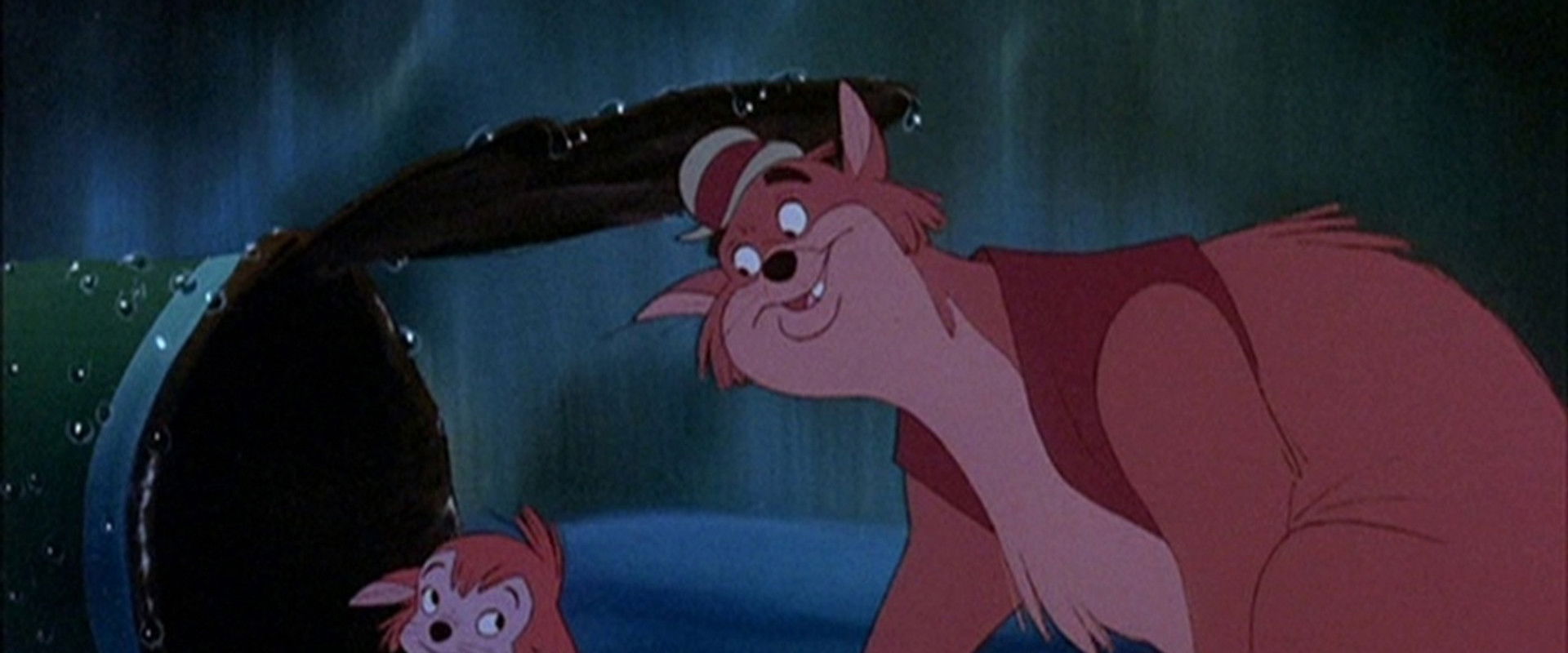 Banjo the Woodpile Cat backdrop