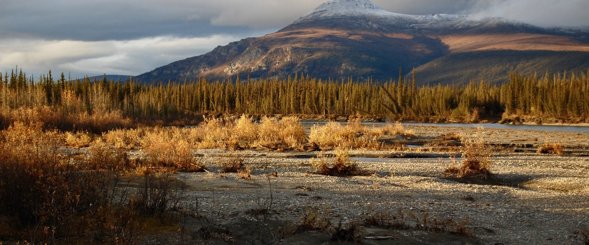 Arctic Daughter: A Lifetime of Wilderness backdrop