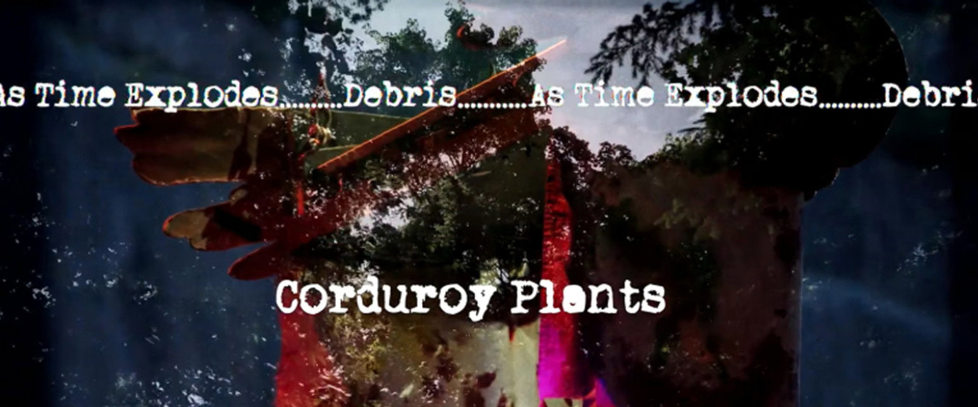 Corduroy Plants backdrop