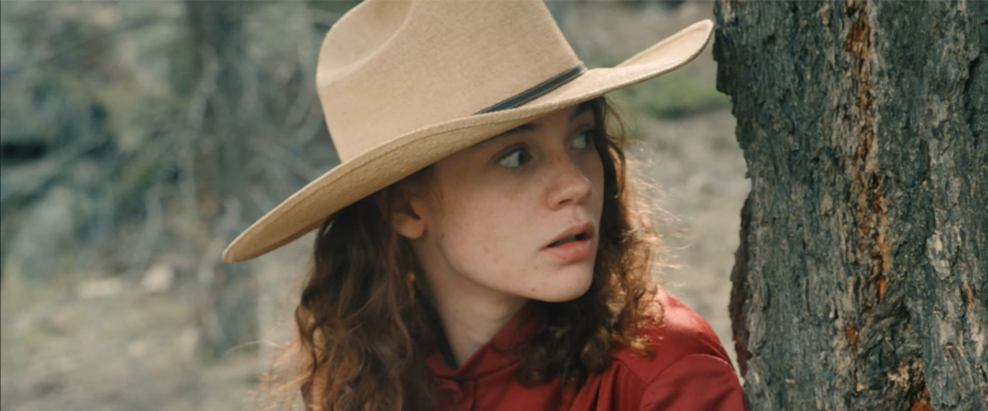 Shooting Stars backdrop