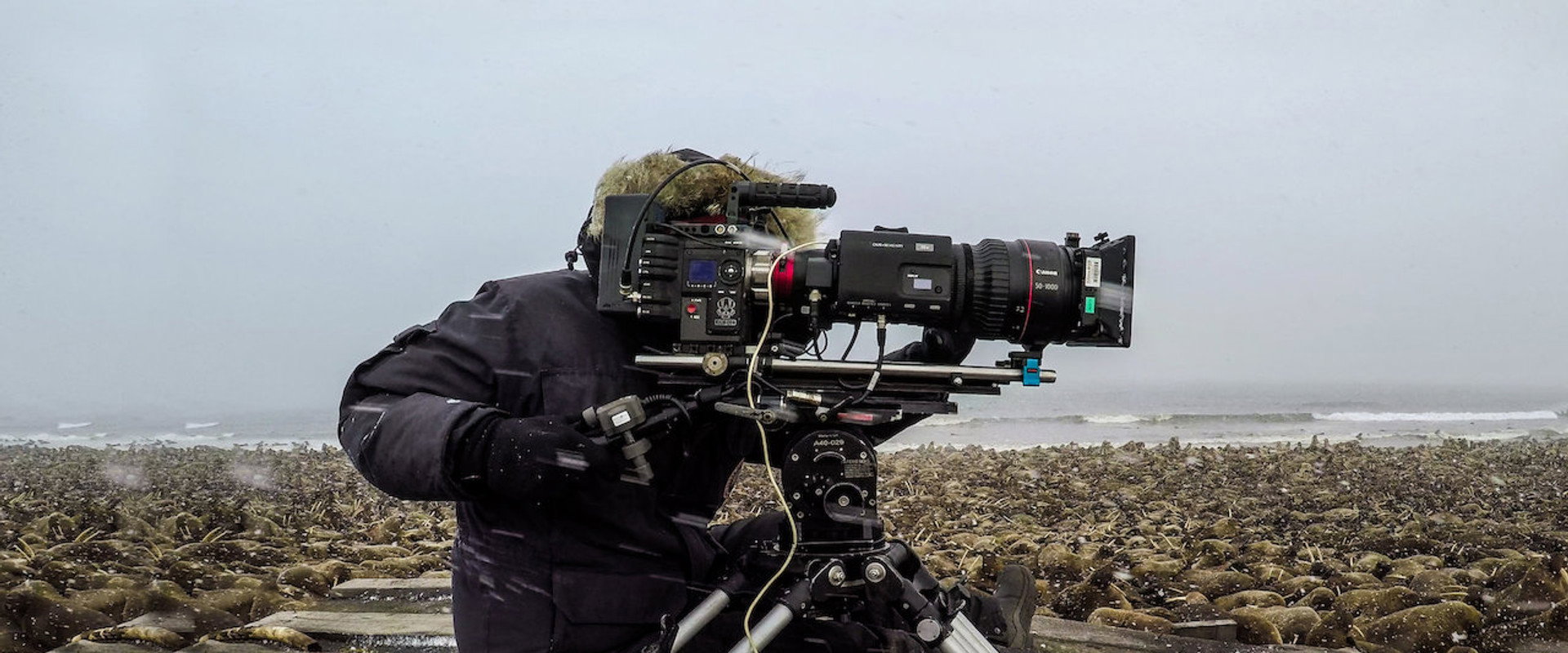 Our Planet: Behind the Scenes backdrop