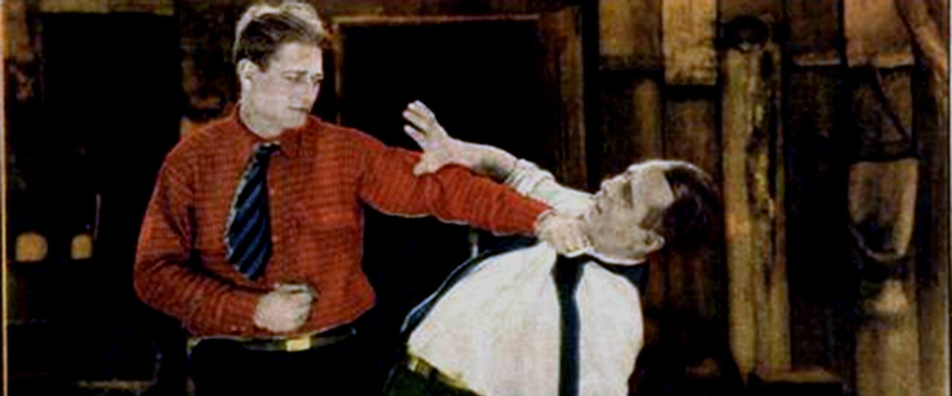 The Silent Guardian backdrop