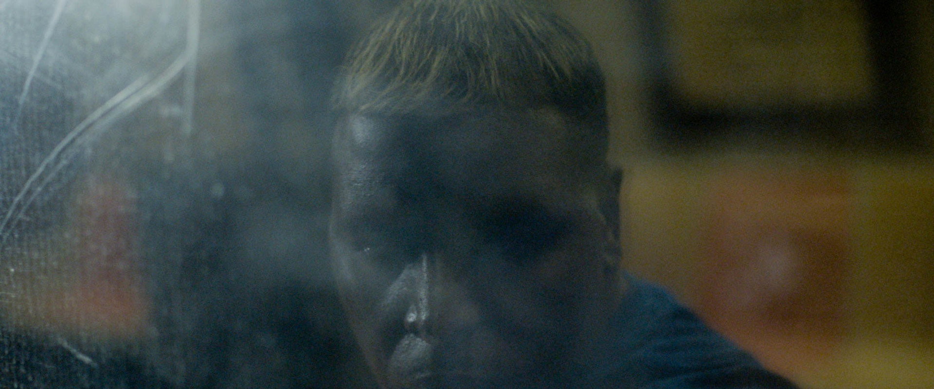 Caterpillar backdrop