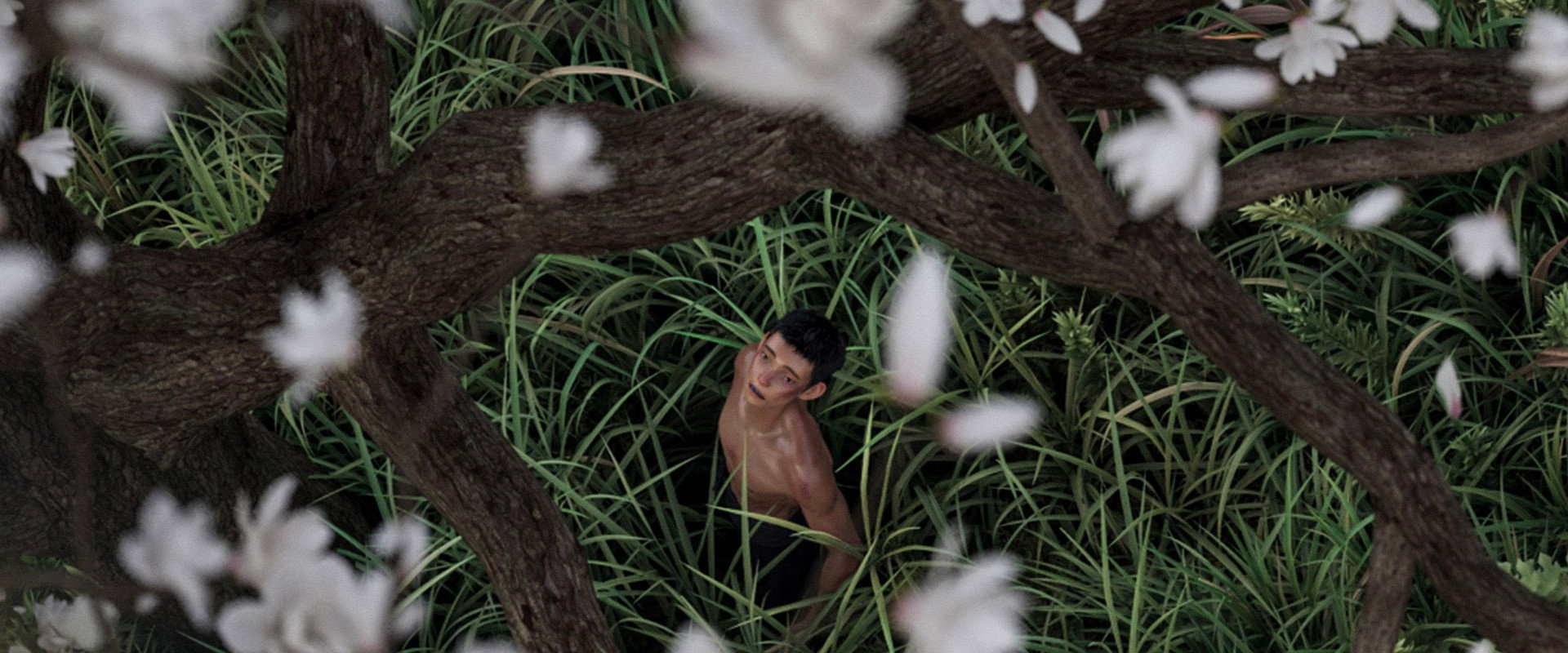 I Am What I Am 2 backdrop