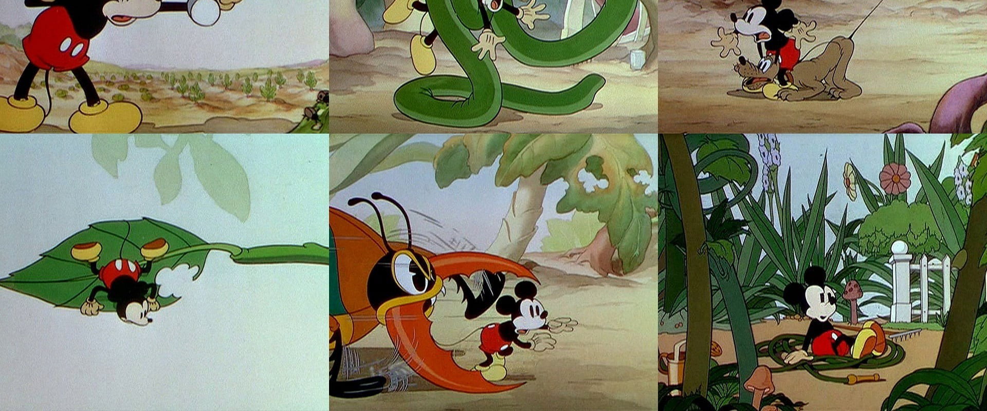 Mickey's Garden backdrop