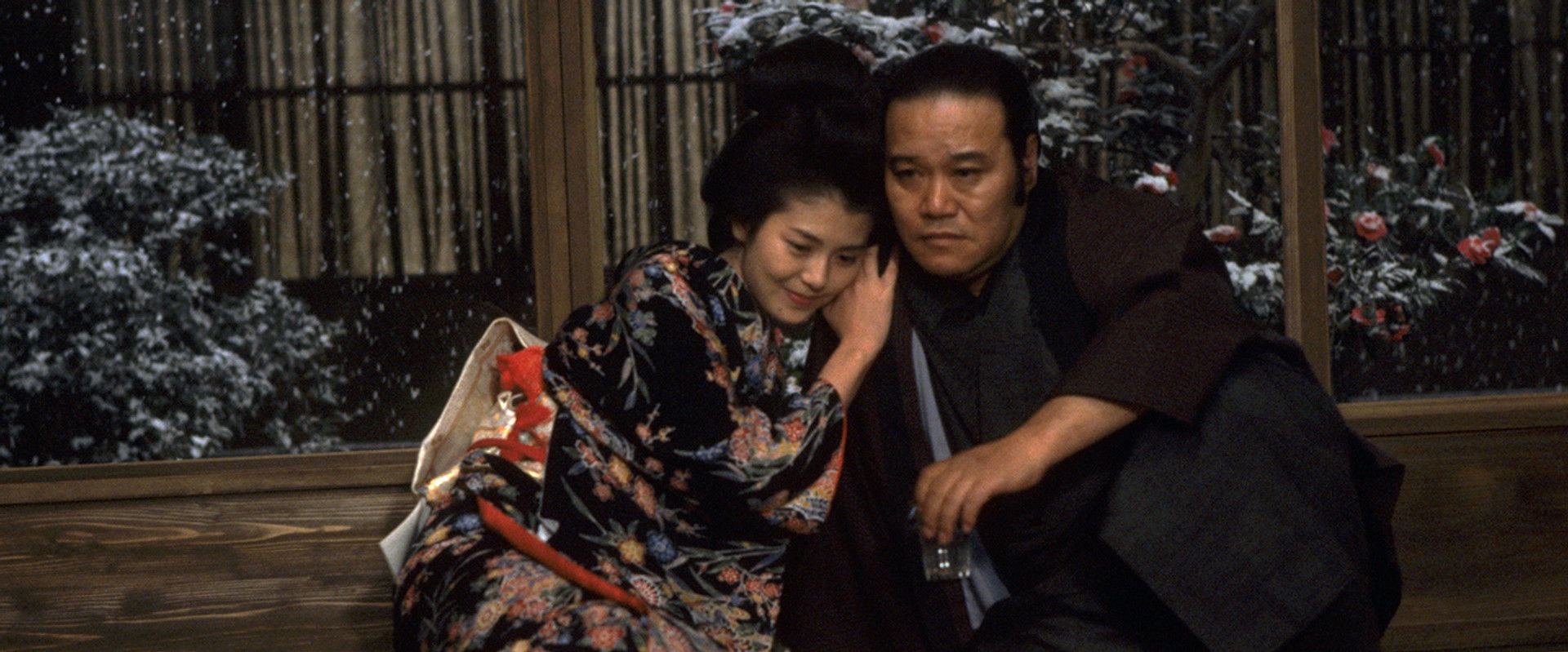 Midwinter Camellia backdrop