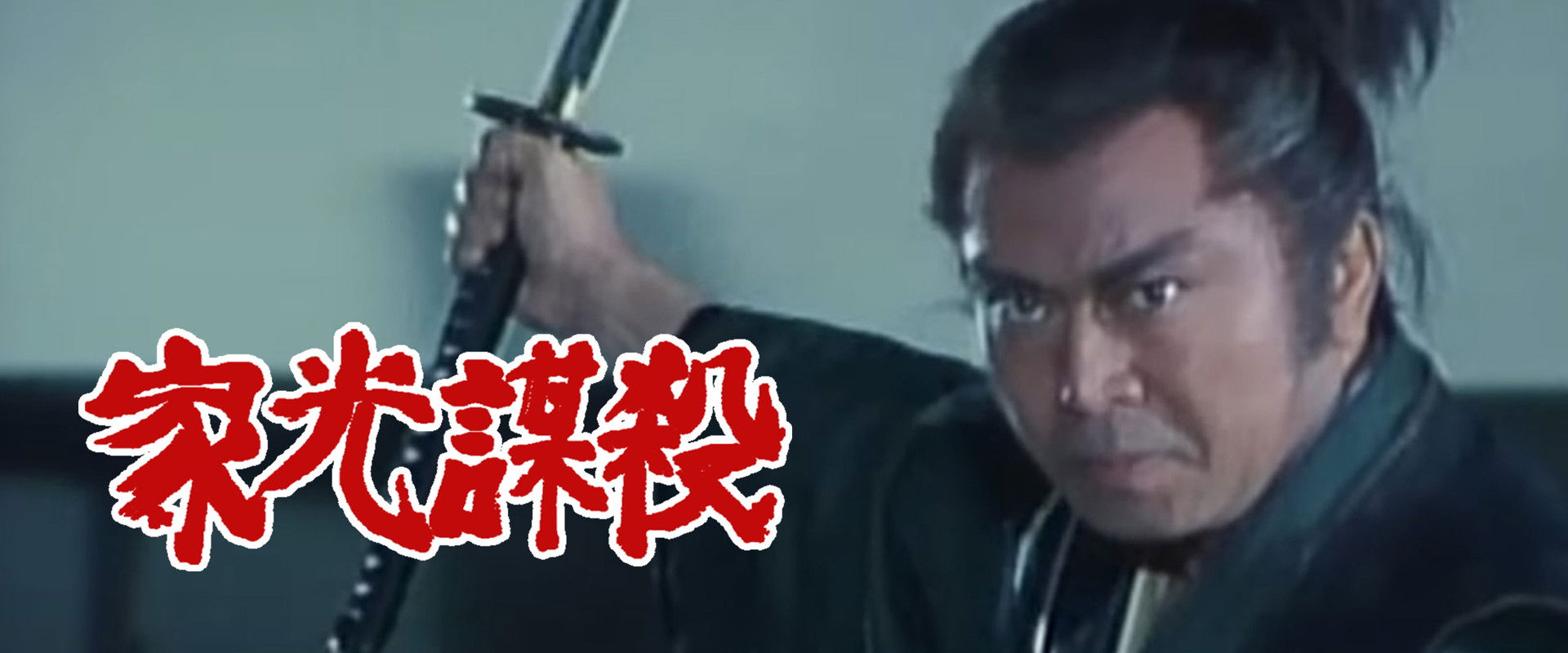 Assassin's Target: Iemitsu backdrop