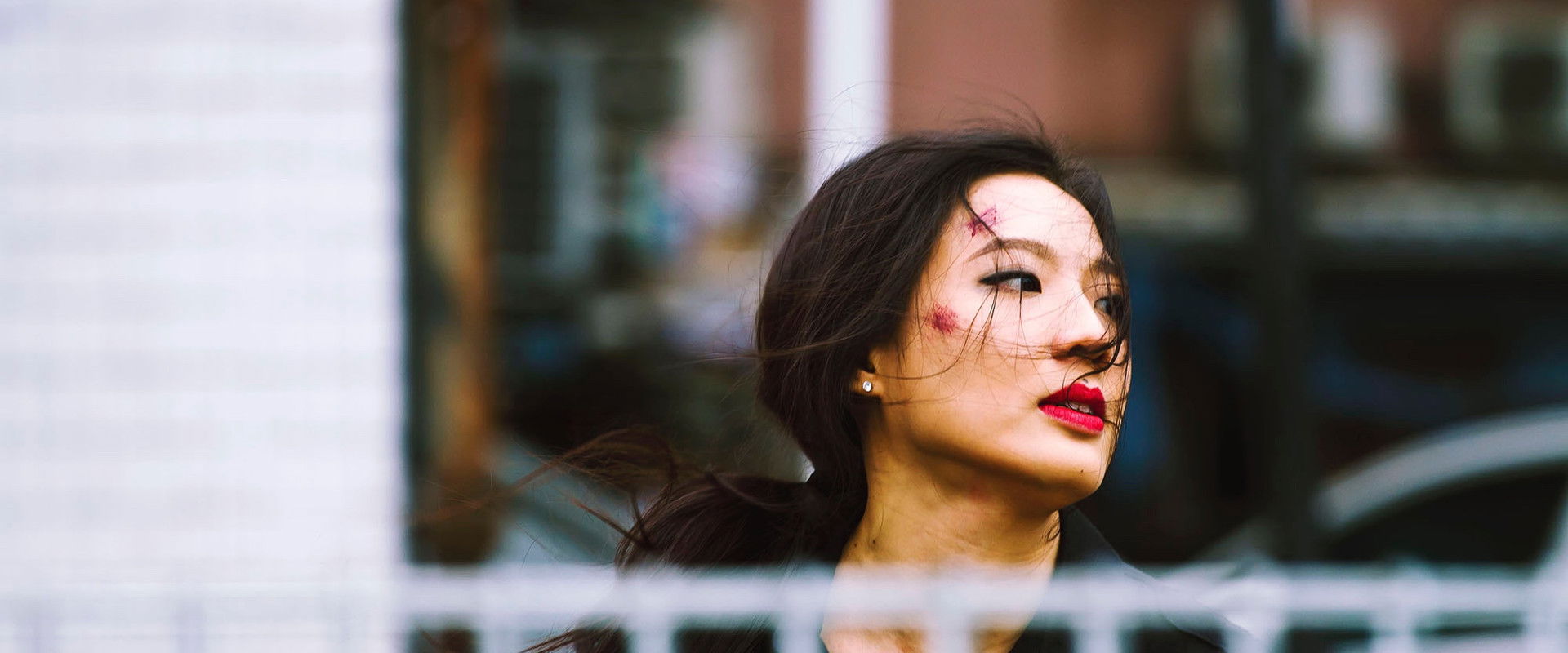 Fly By Night backdrop