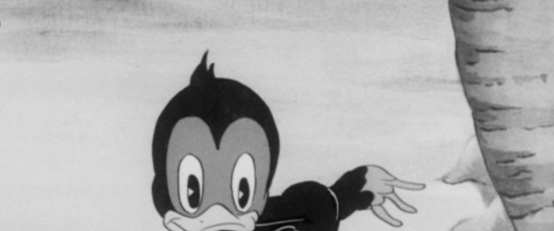 Chicken Jitters backdrop