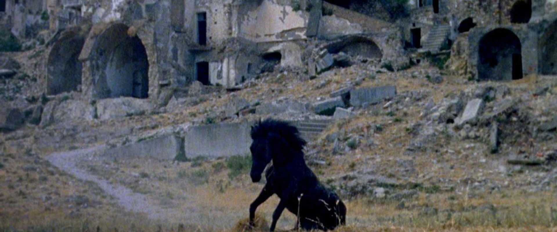Montedoro backdrop