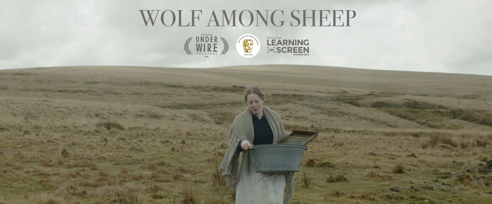 Wolf Among Sheep backdrop