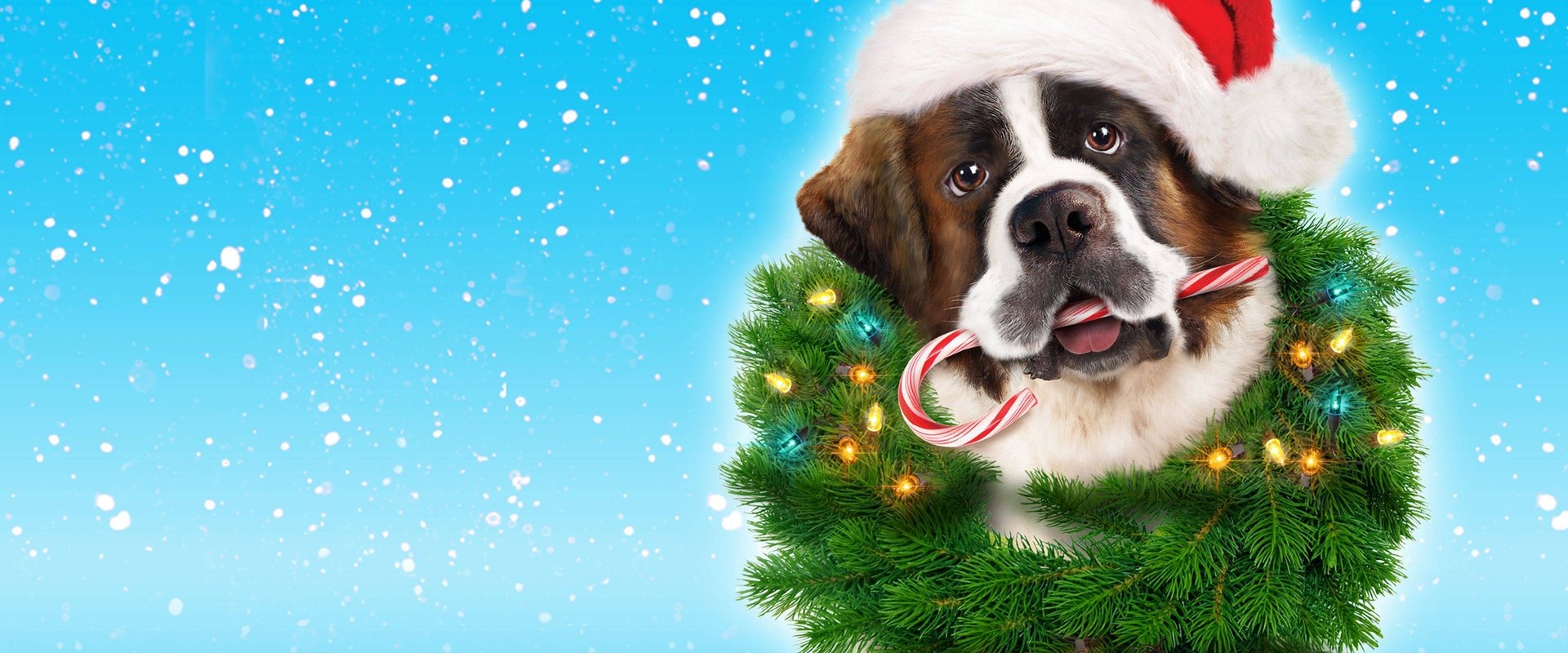 Beethoven's Christmas Adventure backdrop