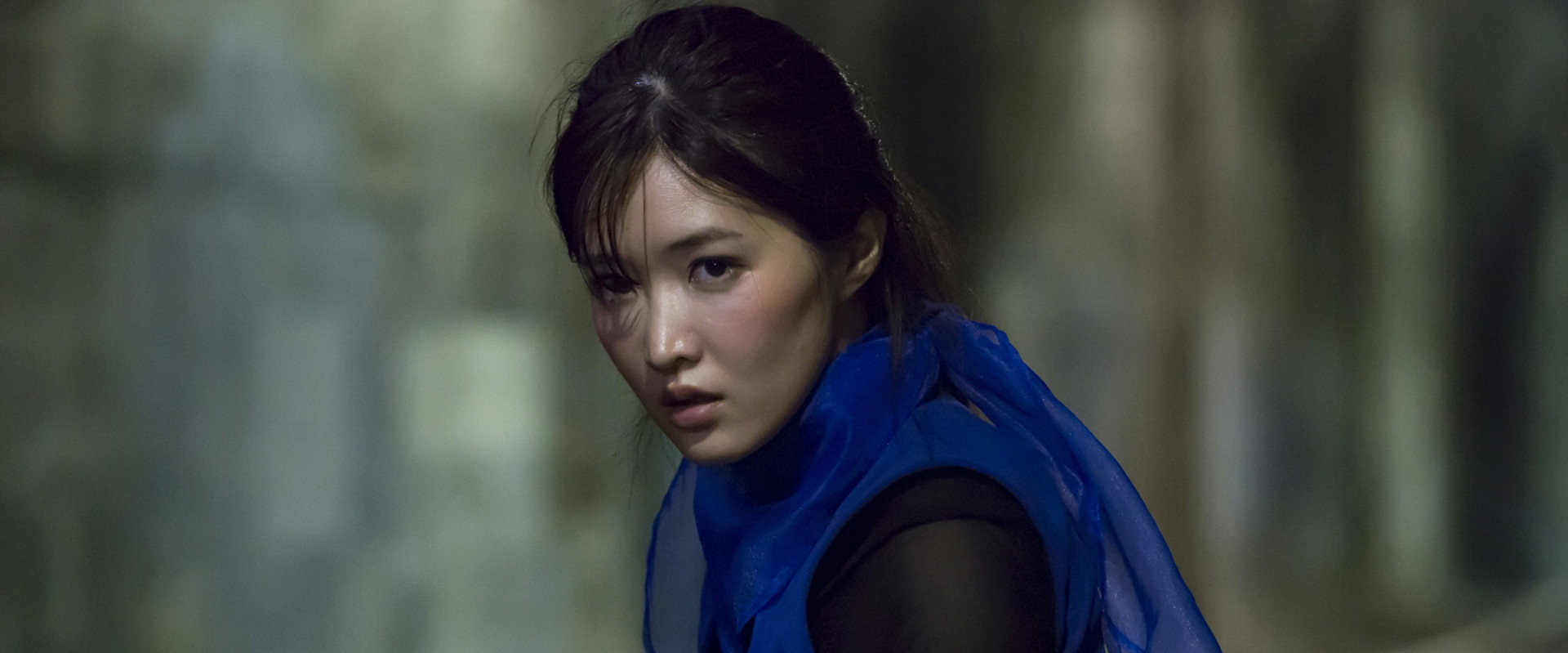 Lady Ninja: A Blue Shadow backdrop