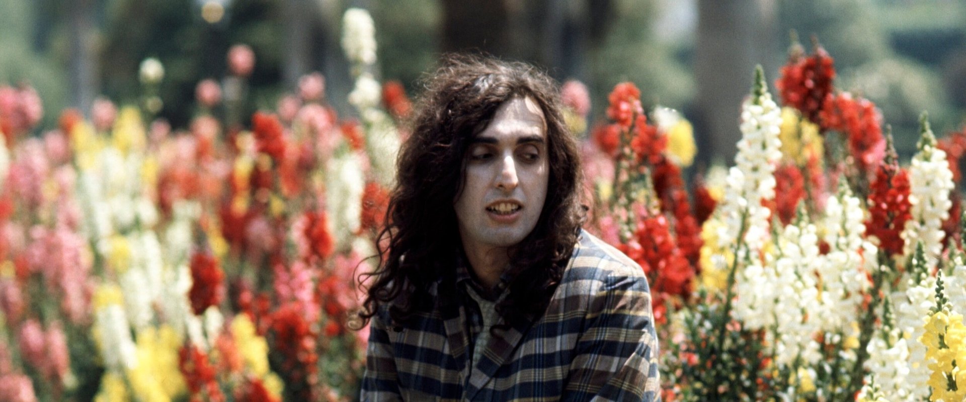 Tiny Tim: King for a Day